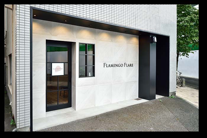 FlamingoFlare-01.jpg