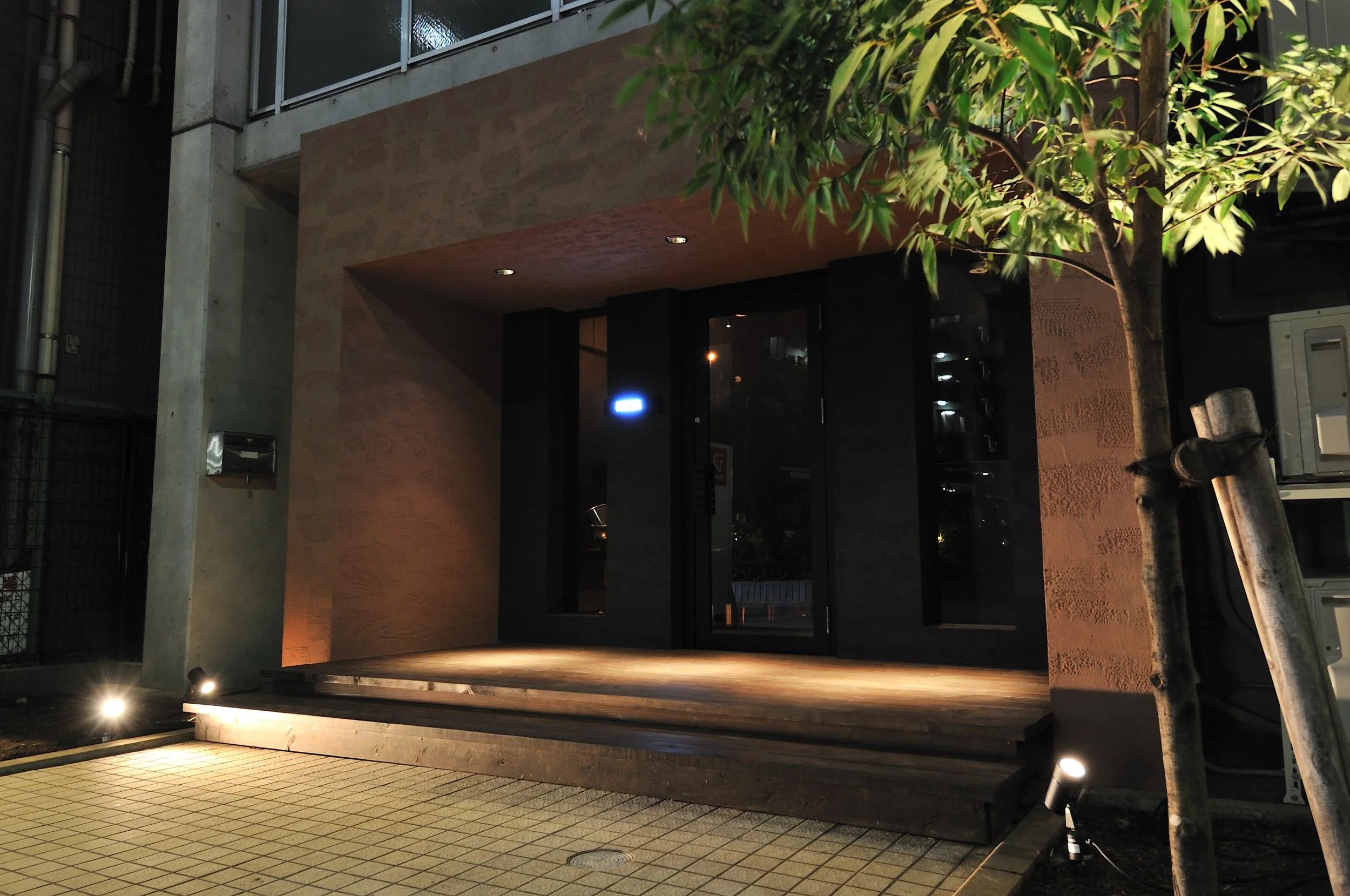 夜の建物の入り口にライトアップされた木と照明。玄関ドアはガラス張り。