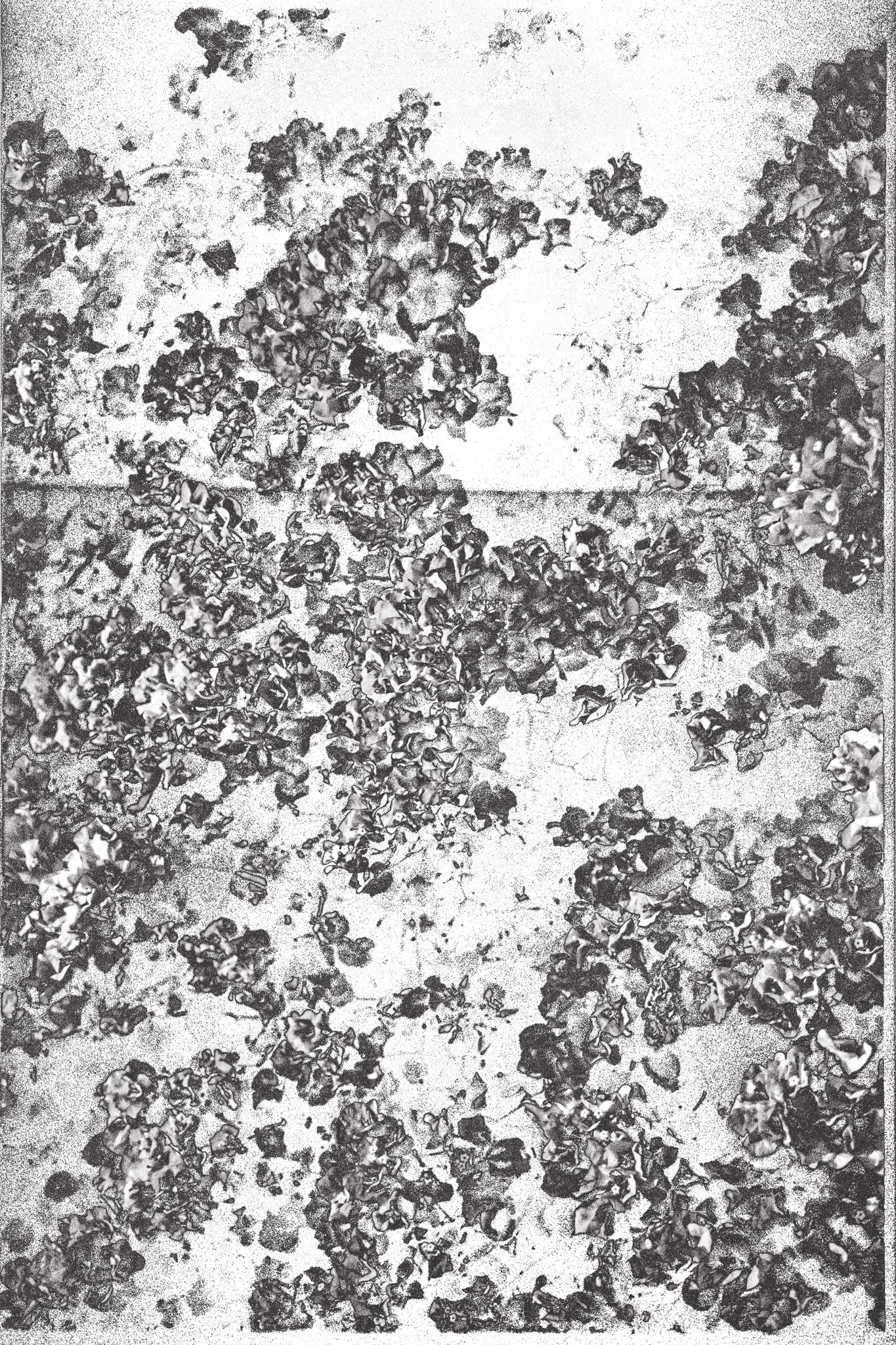 1574-6401.jpg