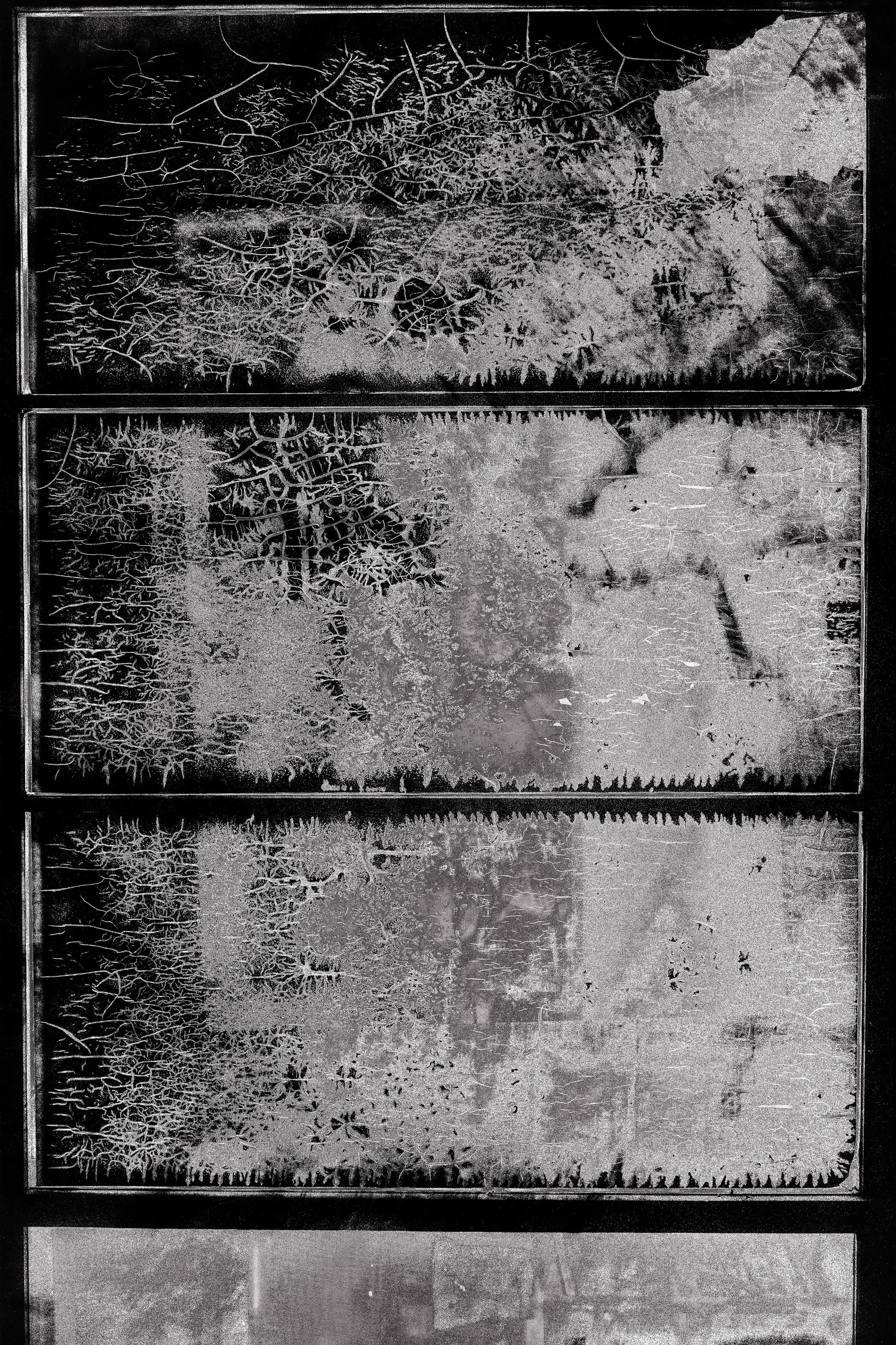 Q1002857.jpg