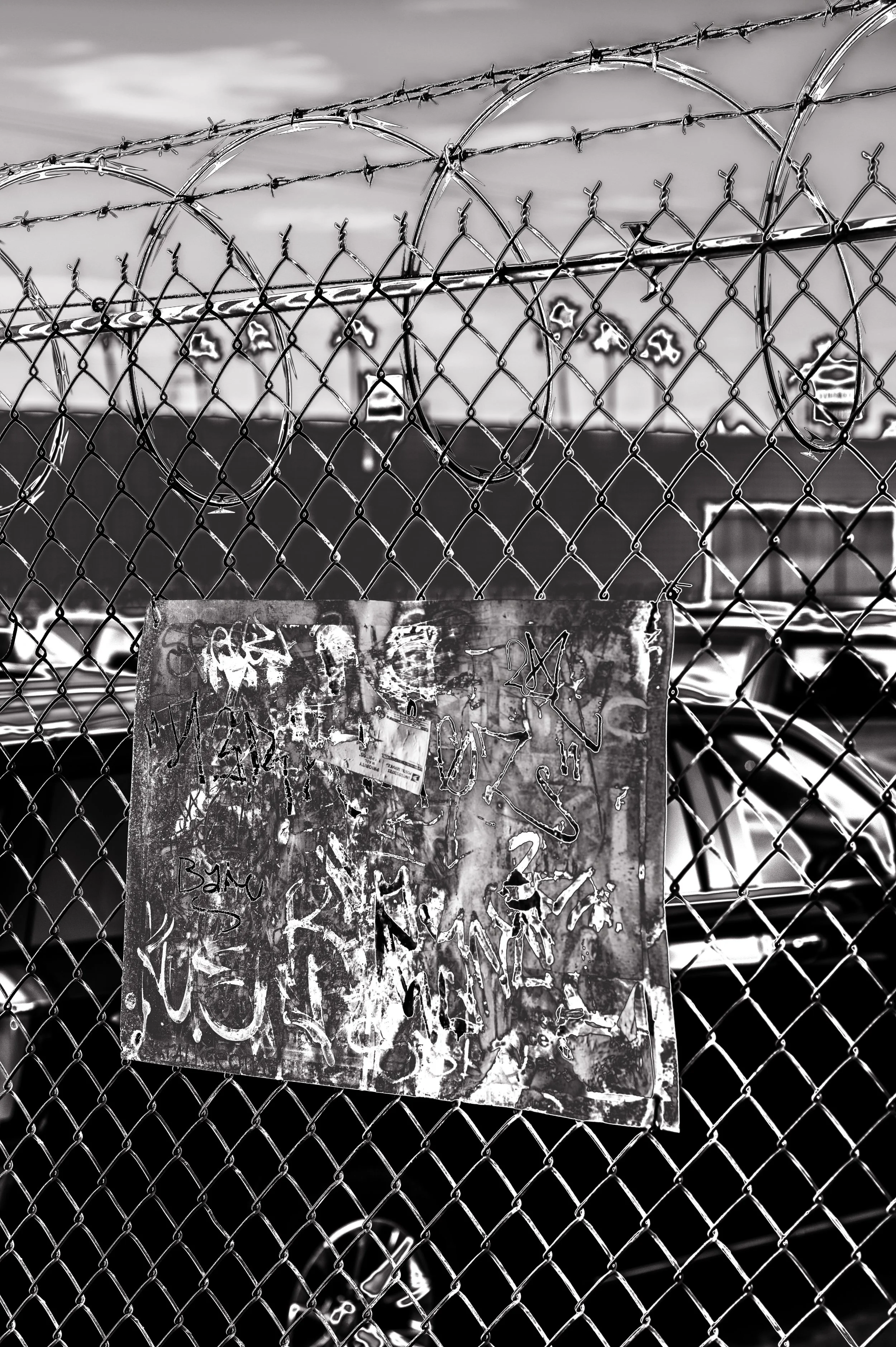L1012778.jpg
