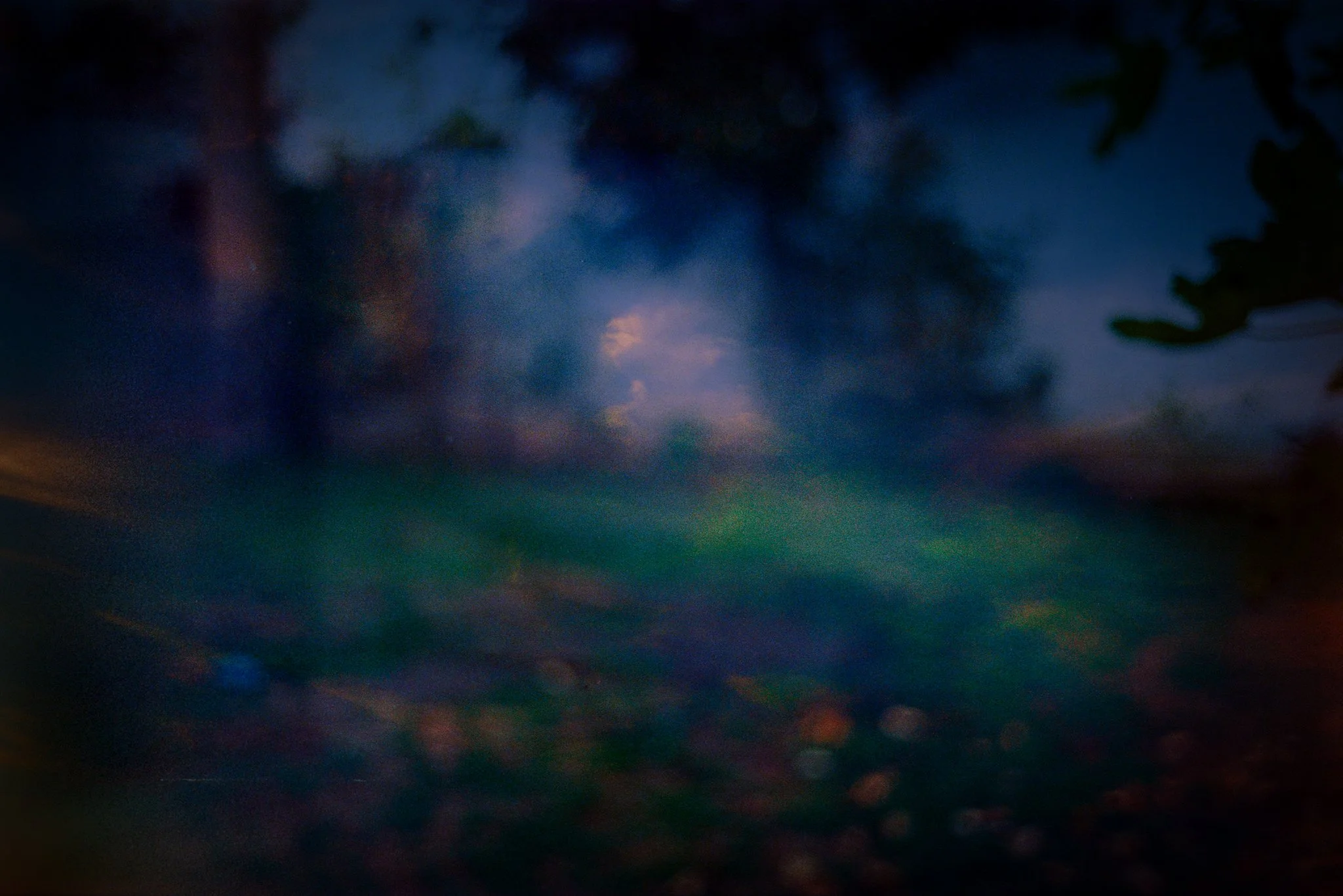 L1010787-Enhanced-NR-2.jpg