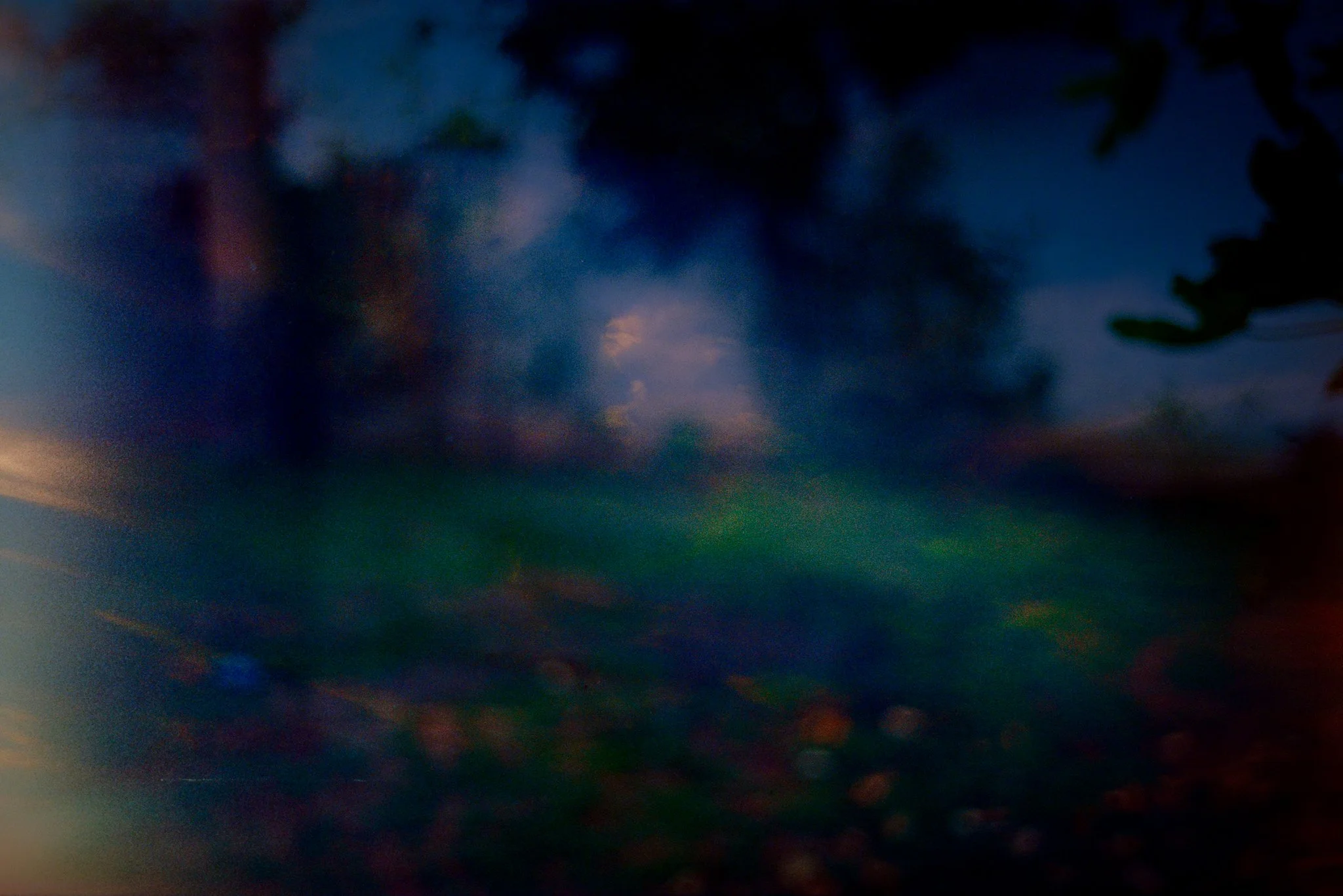 L1010787-Enhanced-NR.jpg