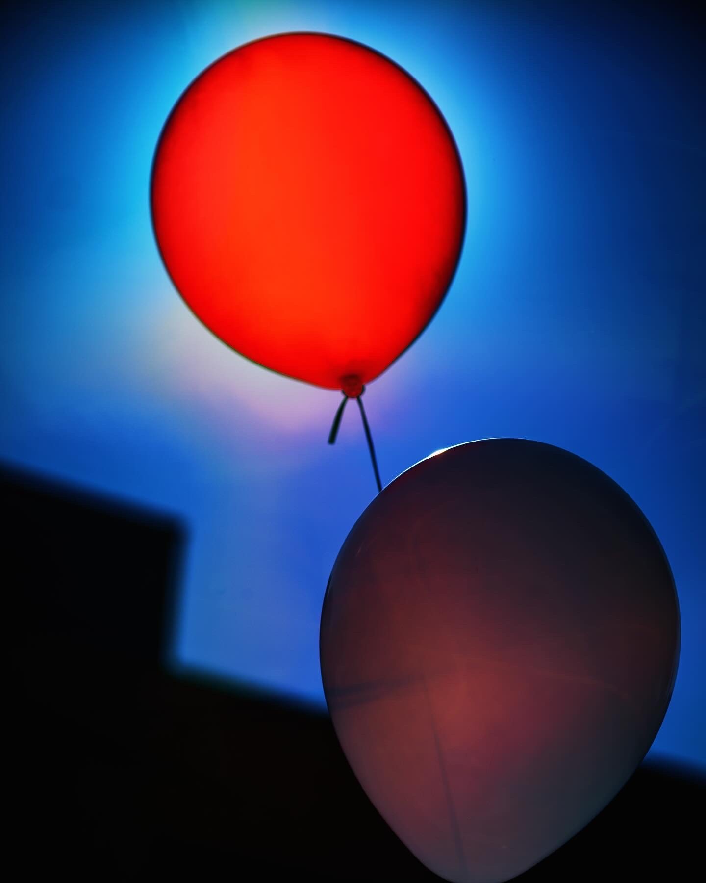 3C5B4602-A767-4736-A097-5261E47D12DD.jpg