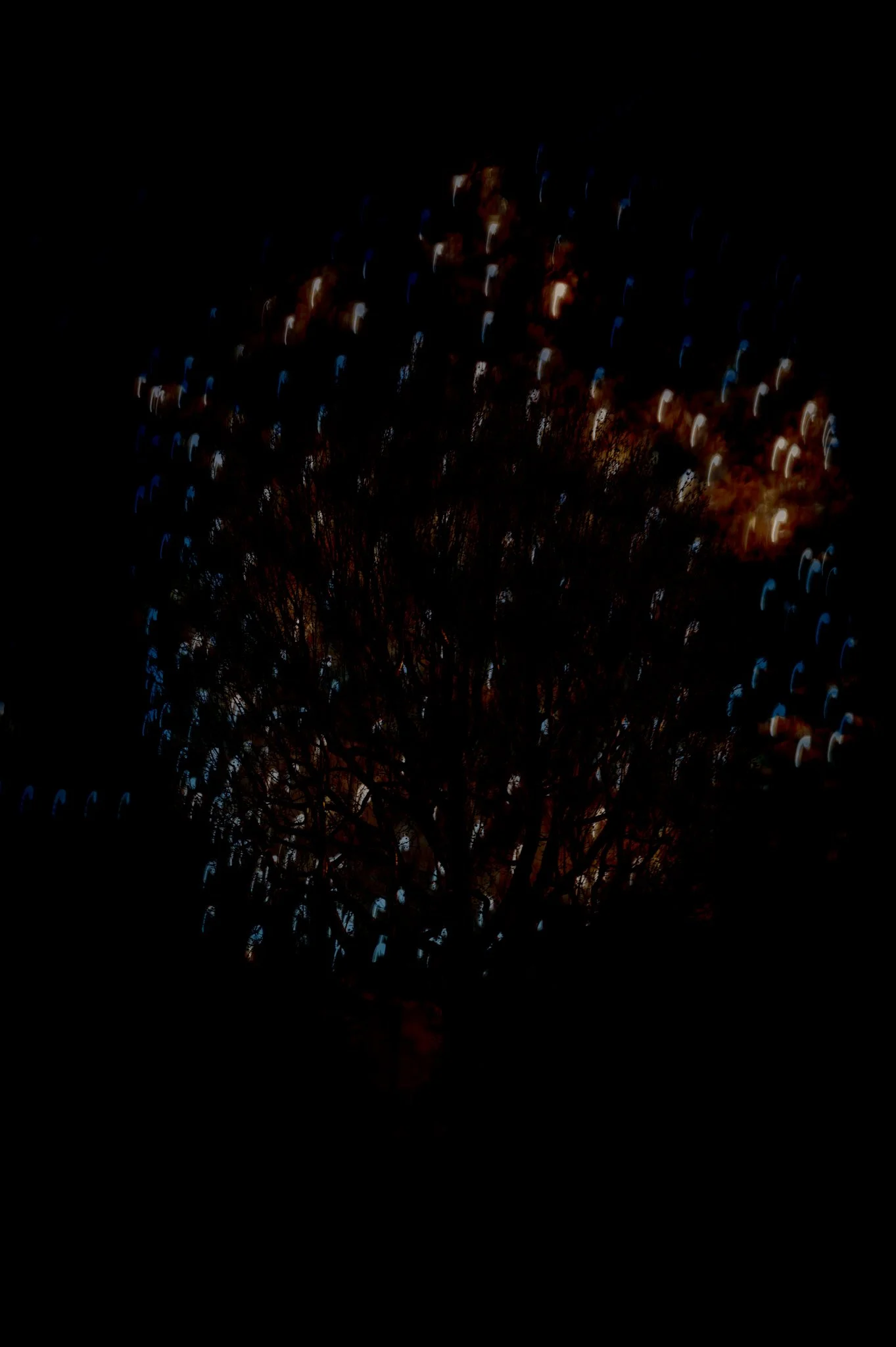 L1020303_B.jpg