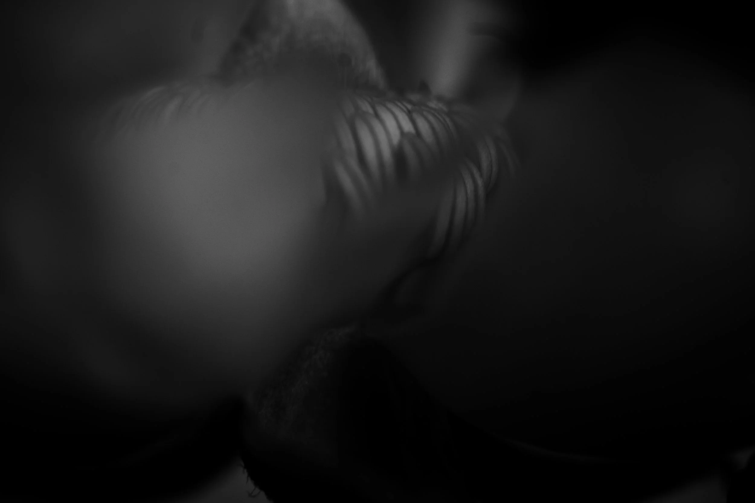 L1100975.jpg