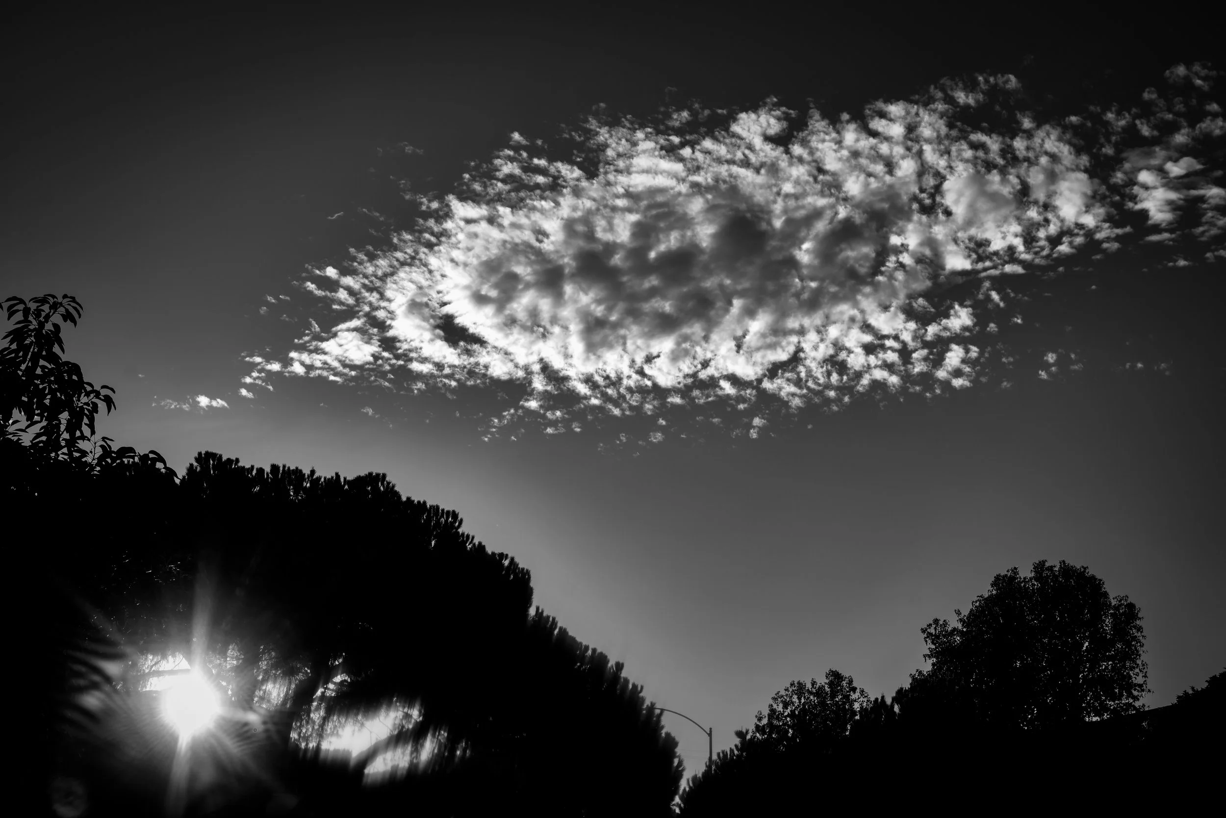S1010651.jpg