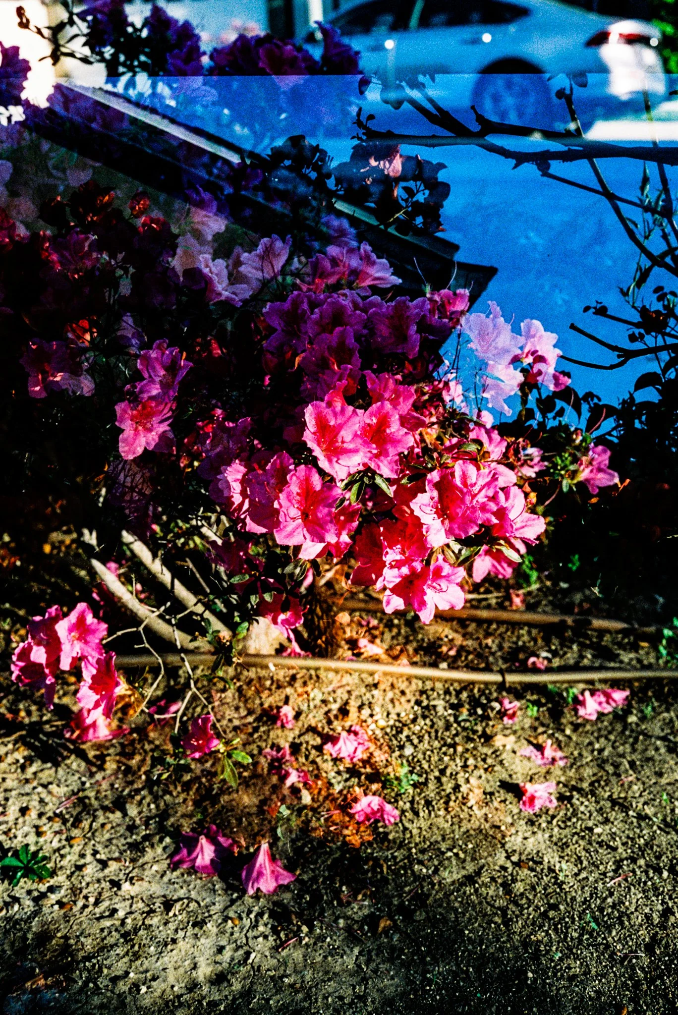 IMG2761-R01-033.jpg