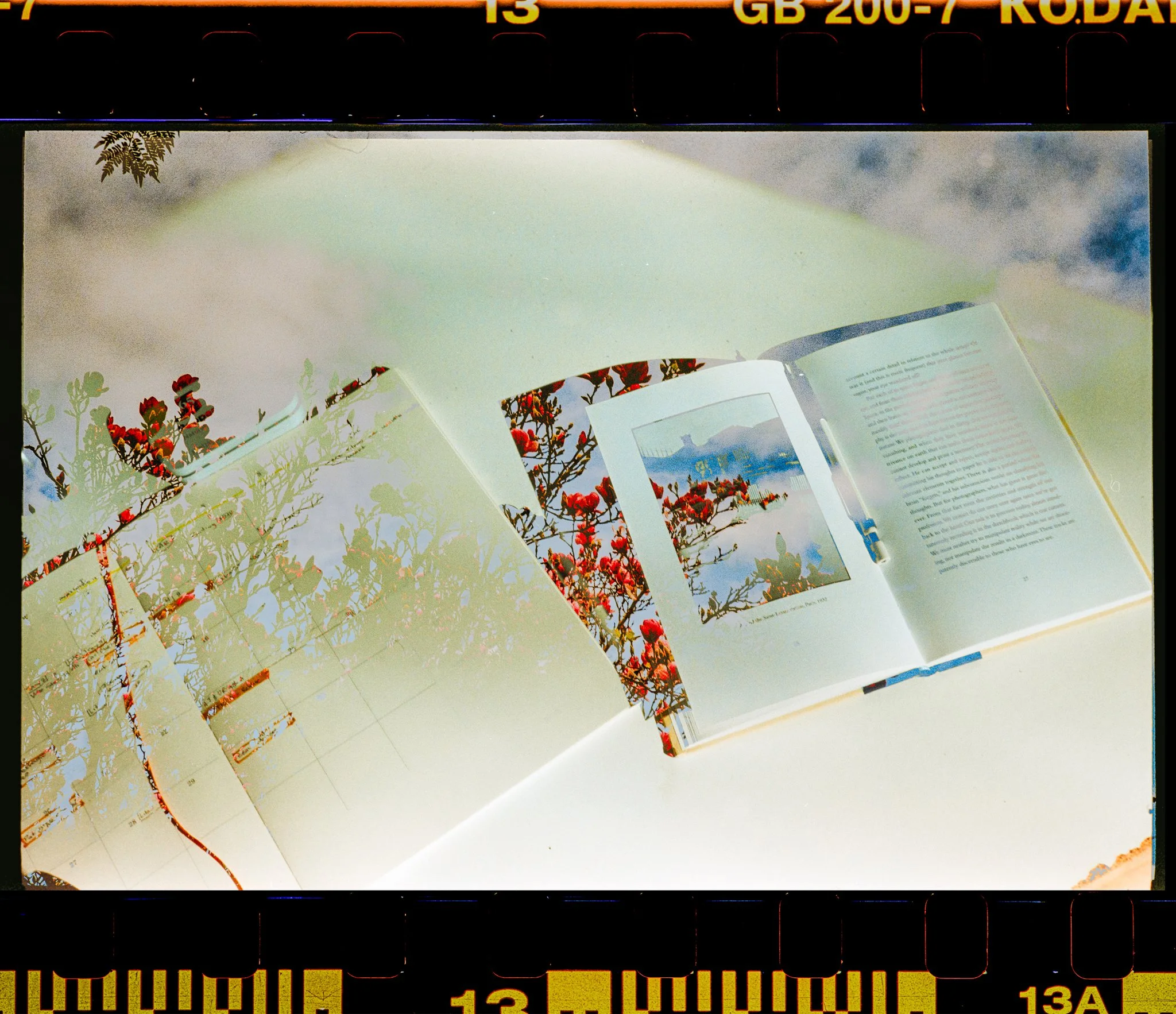 L1012309.jpg
