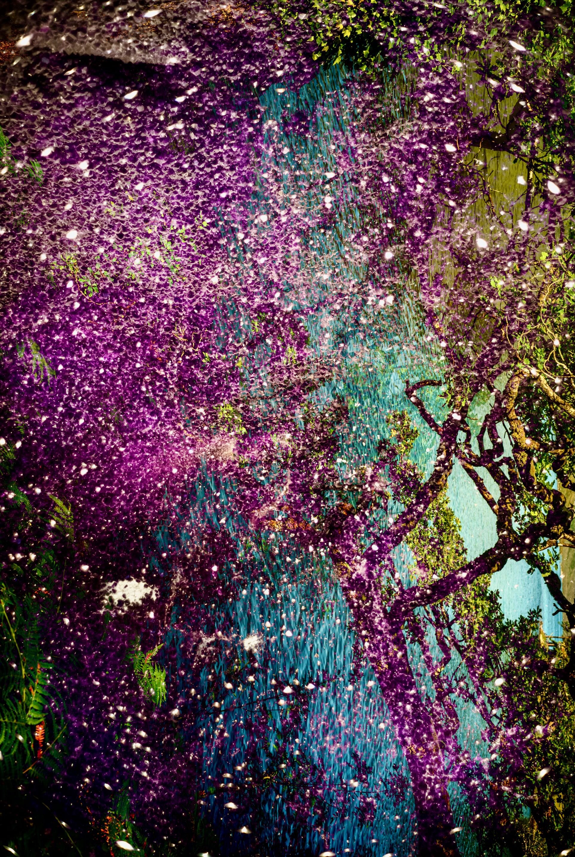 Screenshot 2025-08-24 at 6.06.38 PM.jpeg