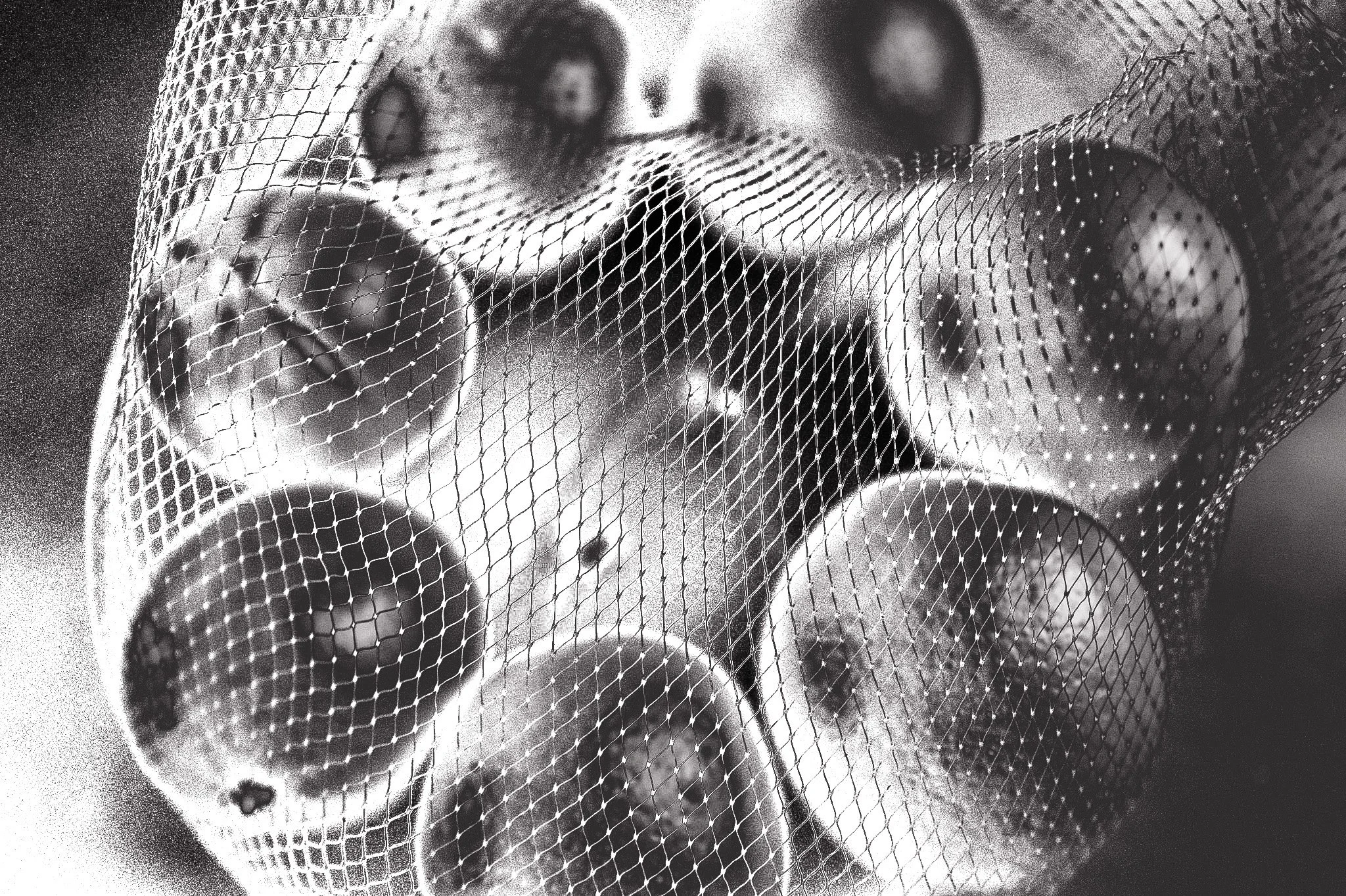 L1001439.jpg