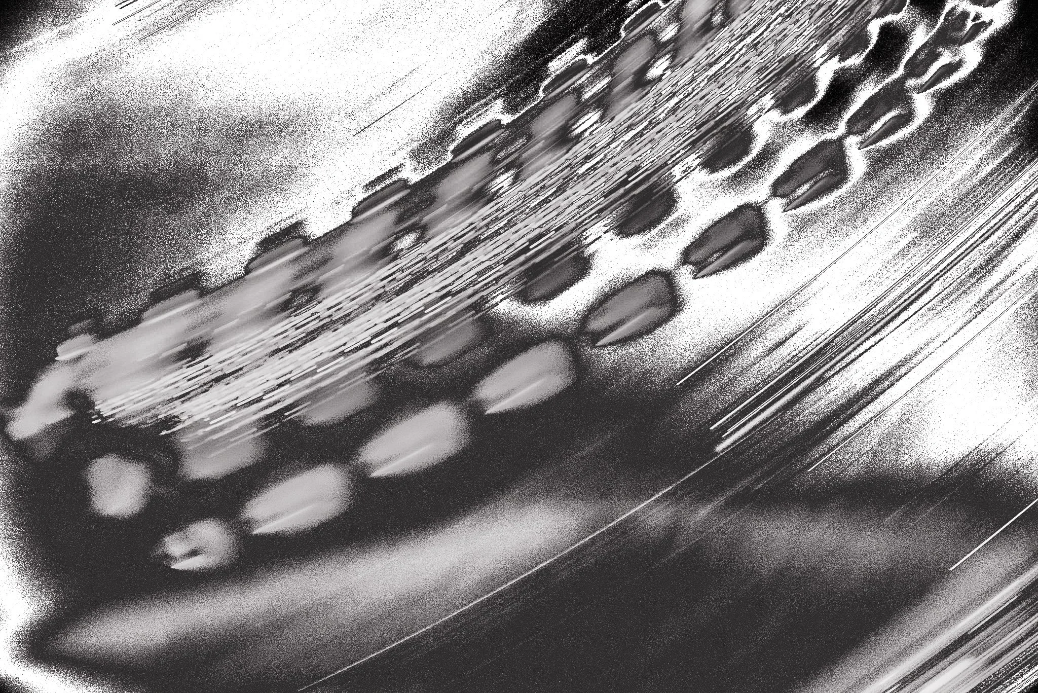 L1000211.jpg