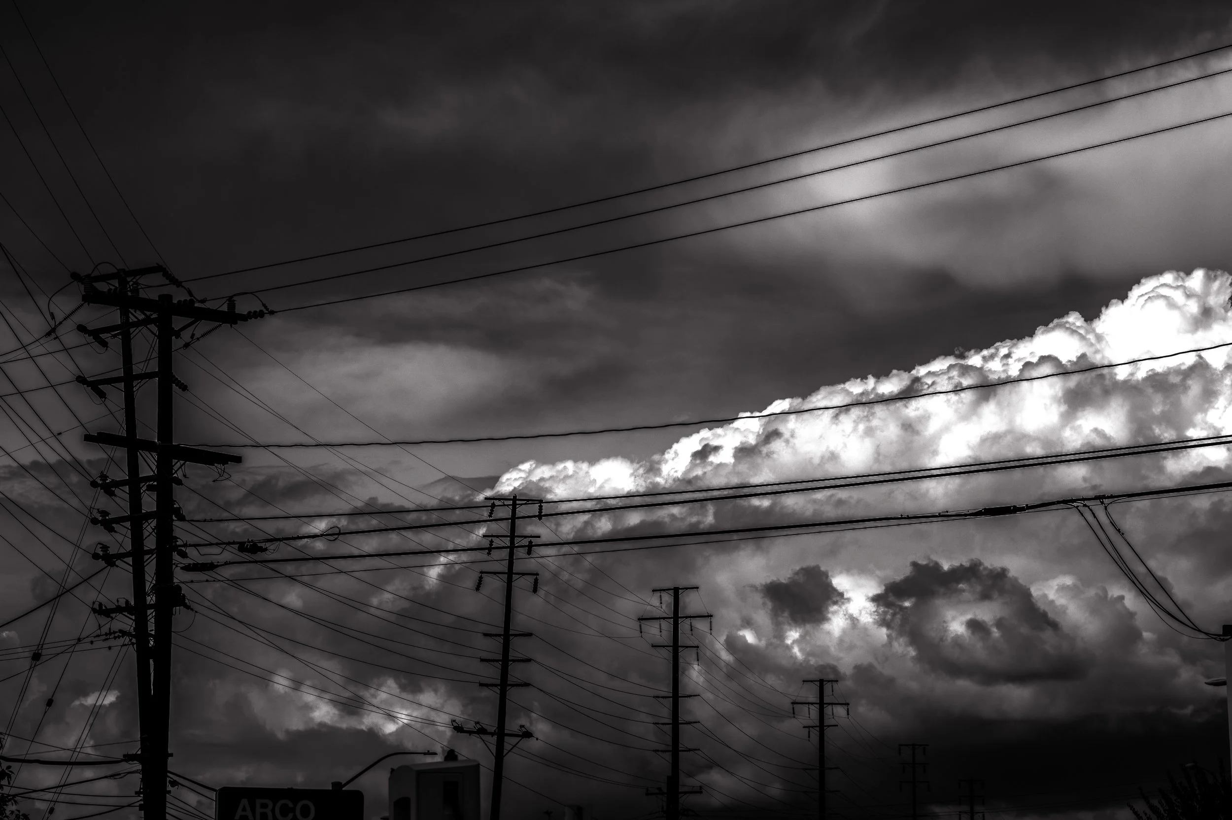 L1012761.jpg