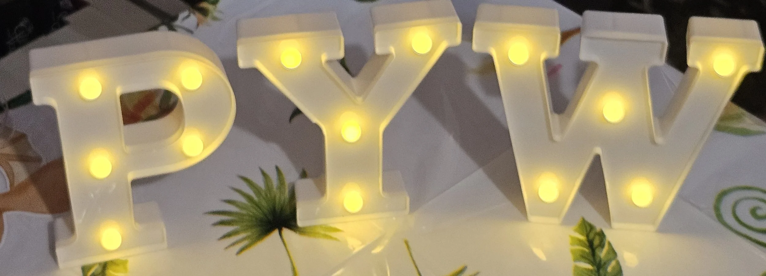 7 Budget-Friendly Party Tips with Party Your World