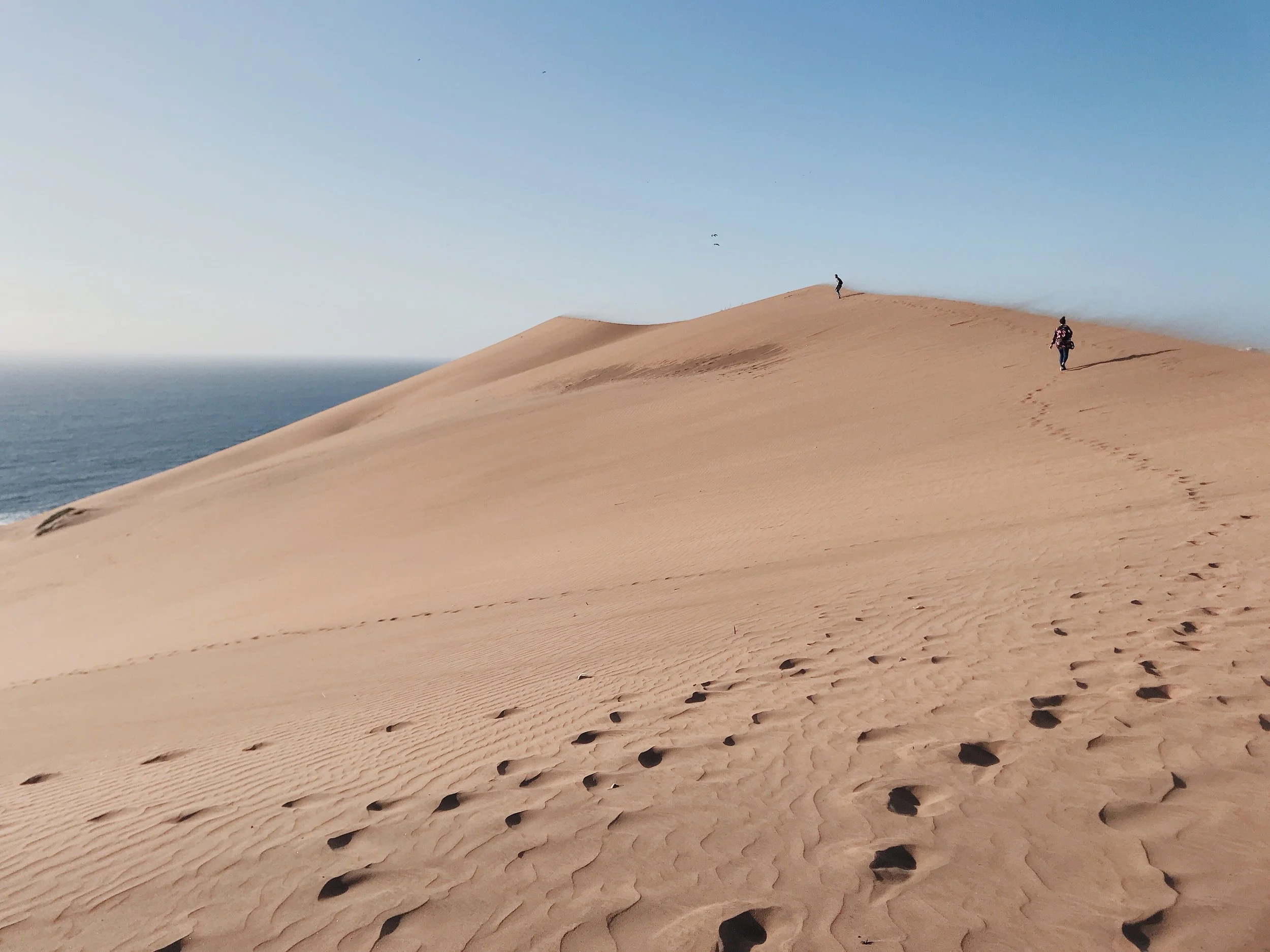 Golden desert landscape.JPG
