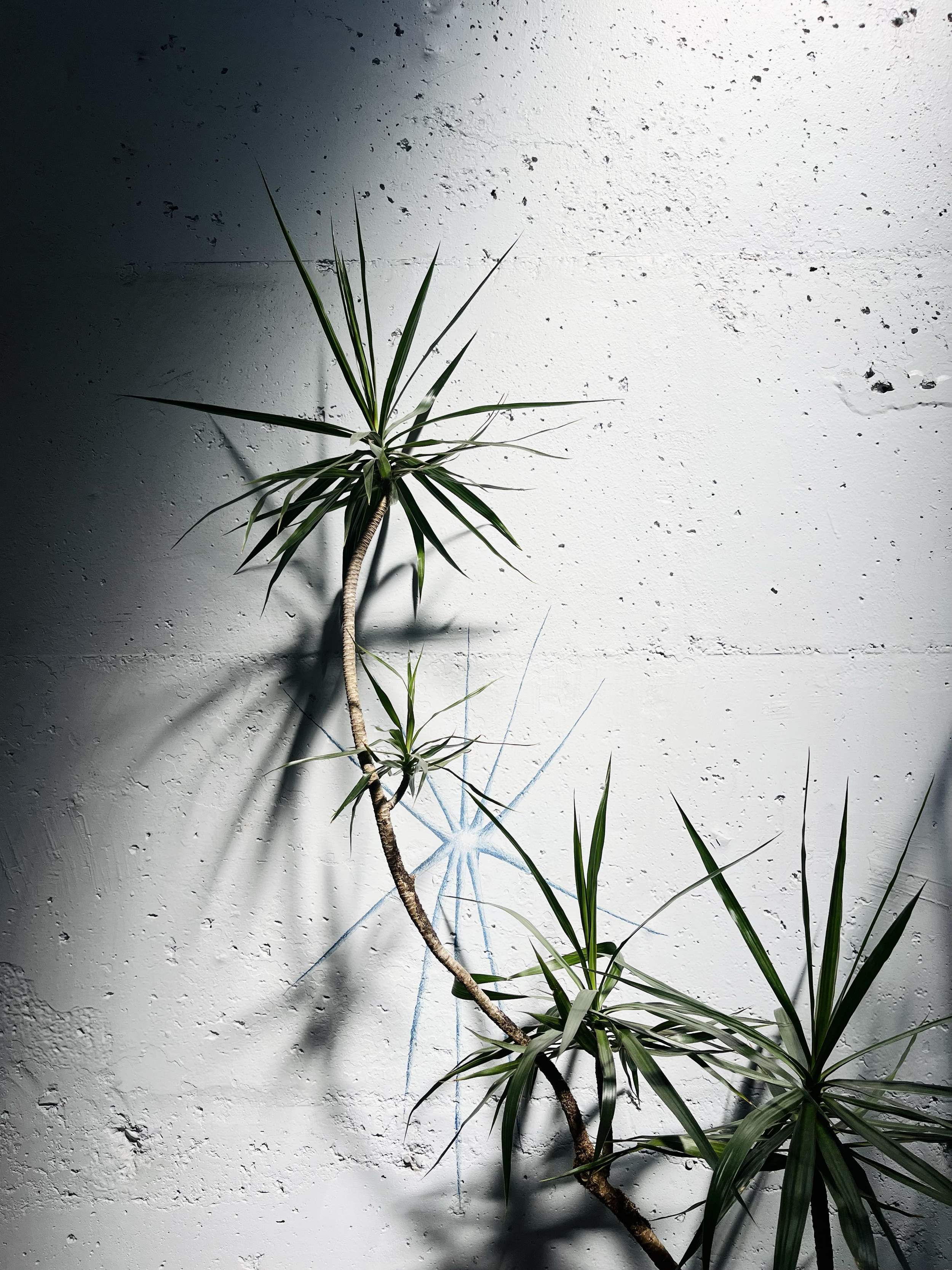 Minimalist photography with shadow play.png