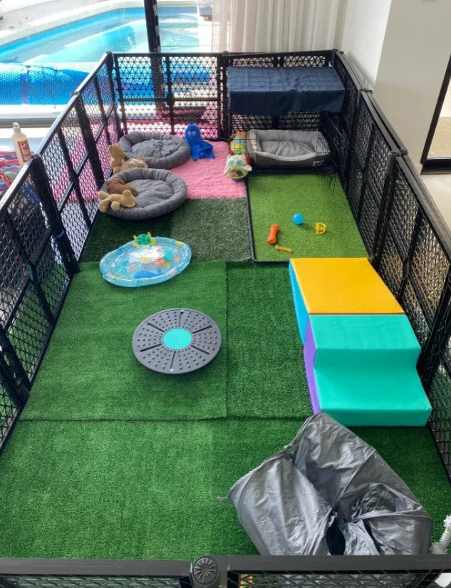 Indoor pet play yard with artificial grass flooring, toys, pet beds, and a small pool.
