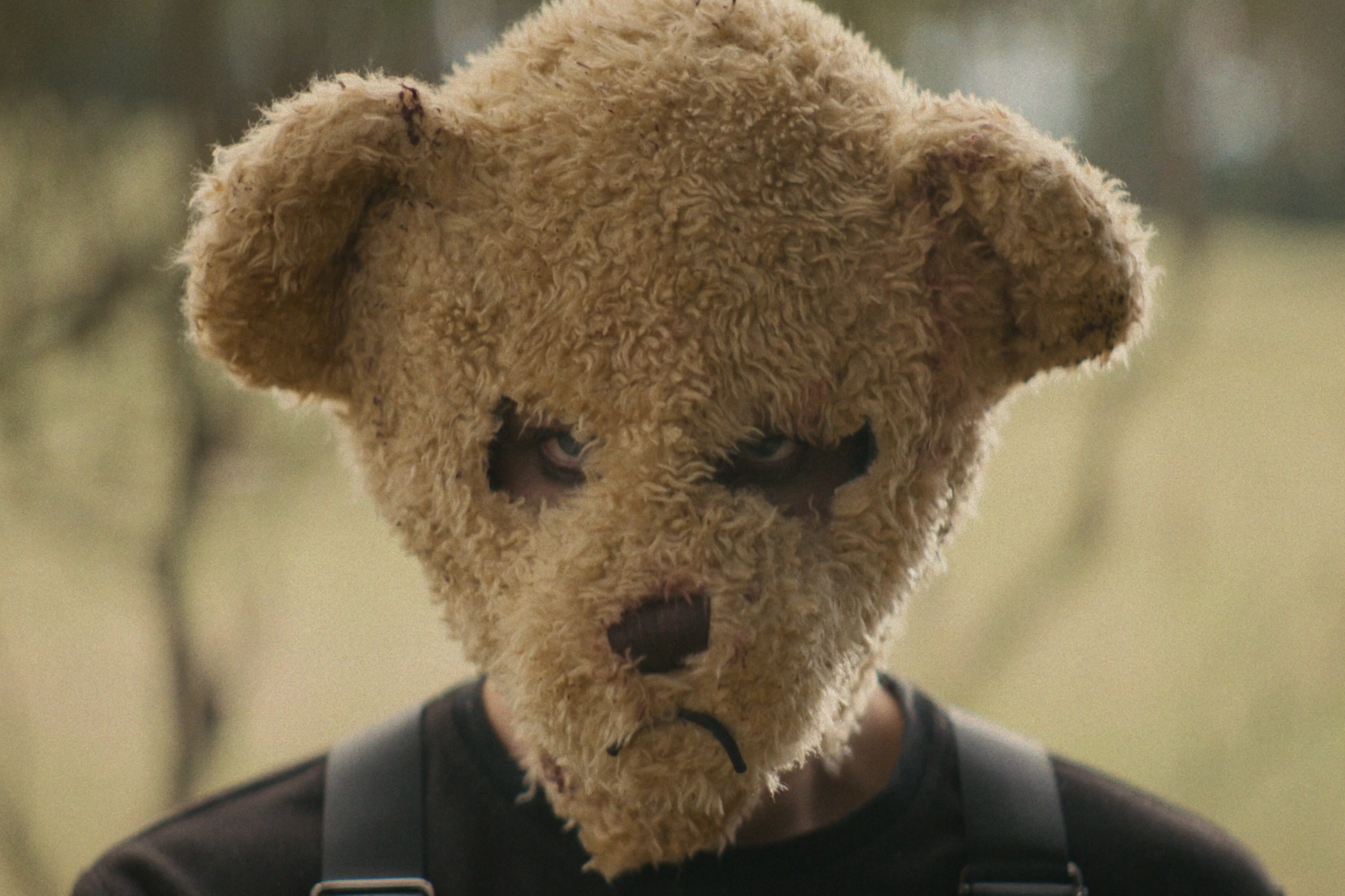 Music Video, Willow, No?