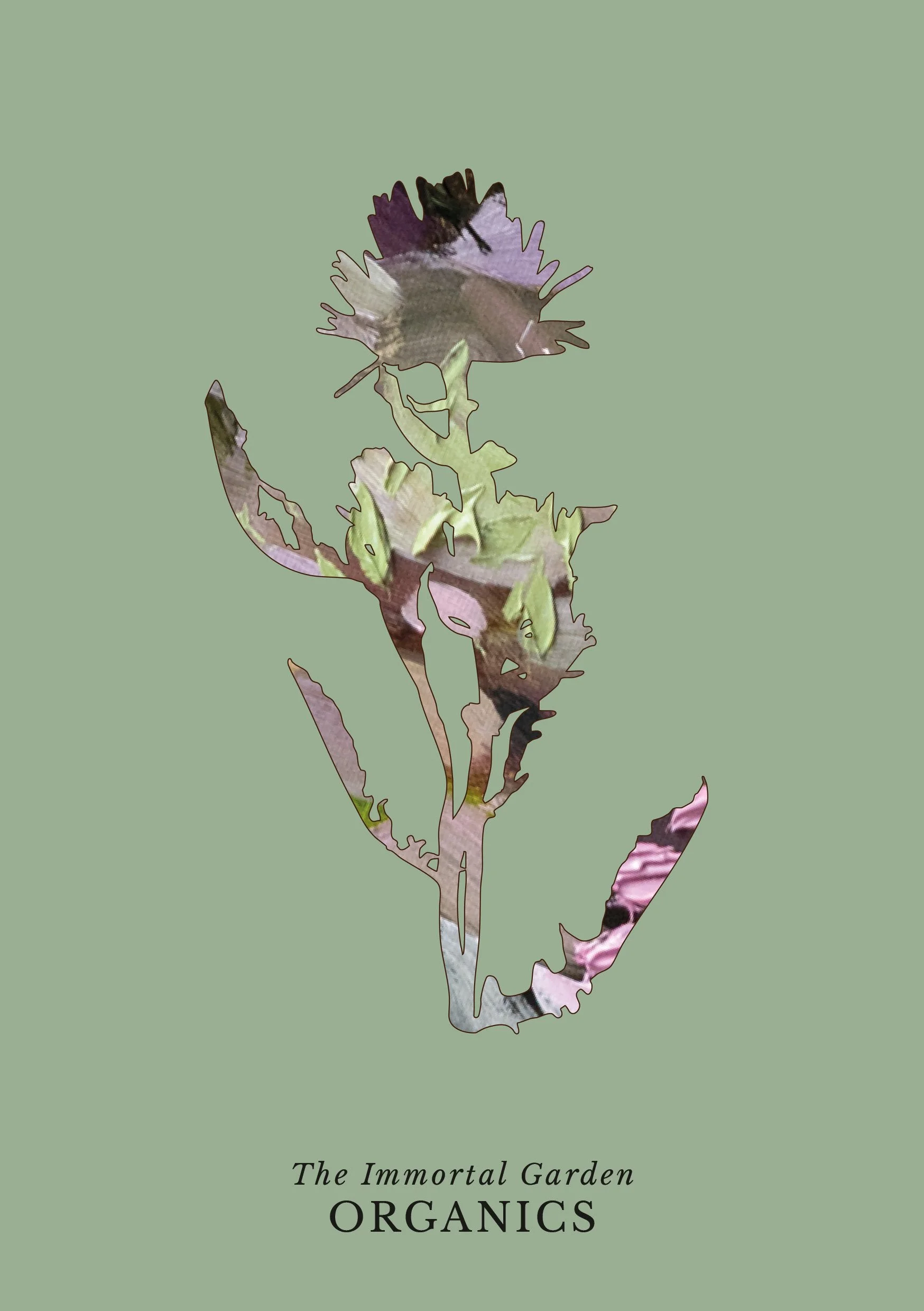 ORGANICS Invite-6.jpg