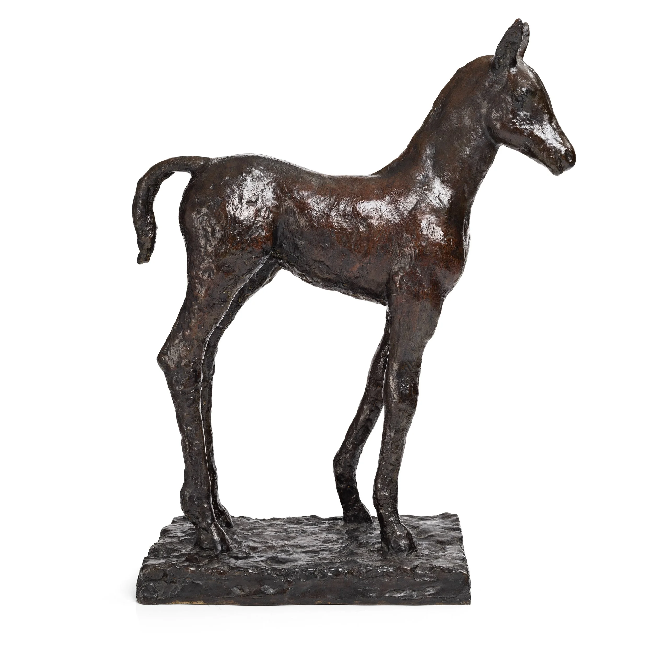 The Foal, 2006