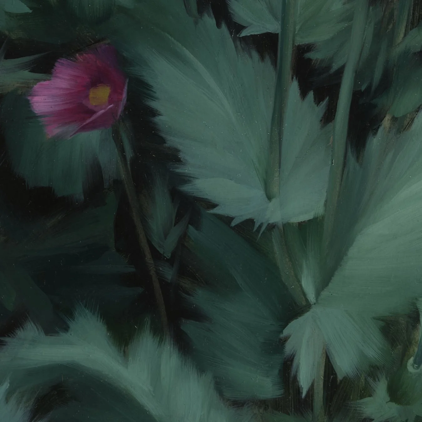 Pink Poppy - Study I_detail.jpg