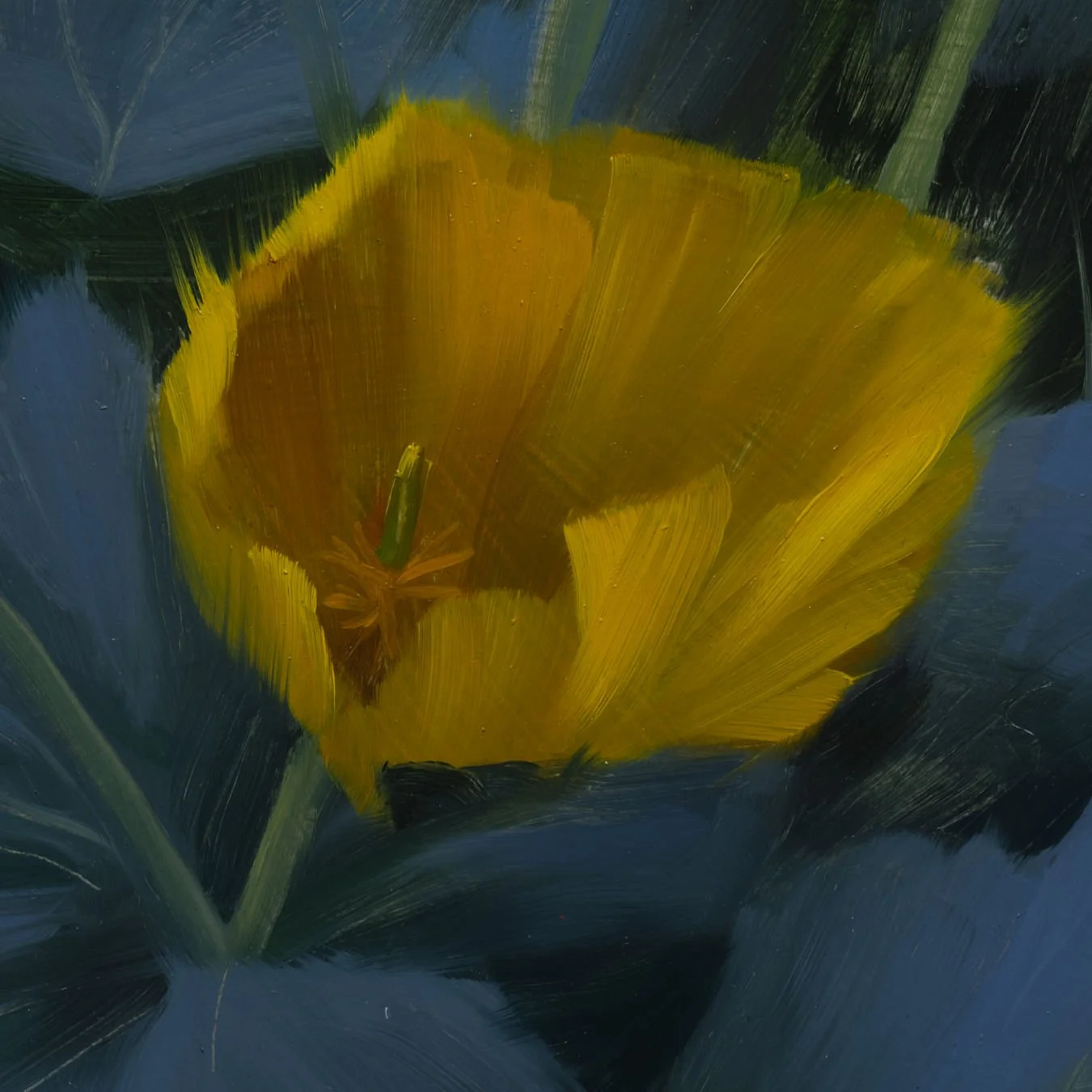 Yellow Poppy - Study I_detail.jpg