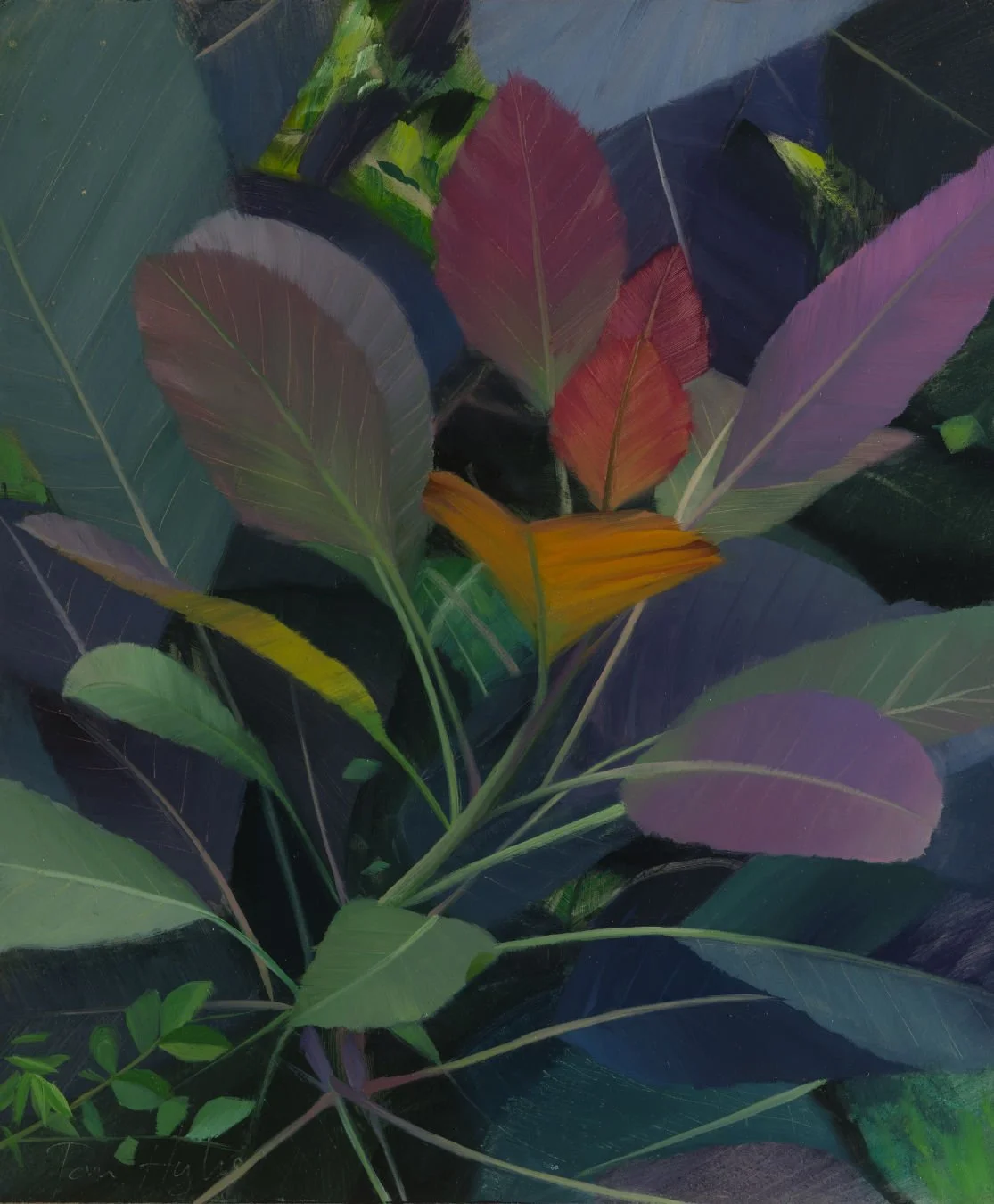 Smoke Bush - Study II_1350.jpg