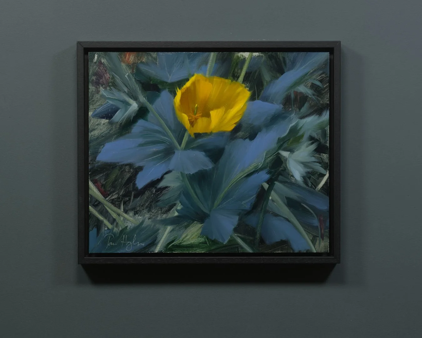 Yellow Poppy - Study I framed 1350.jpg