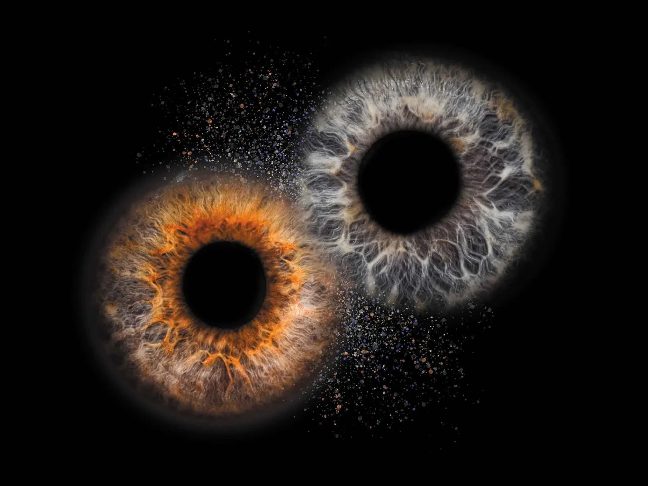 November 11 2025 CE Event