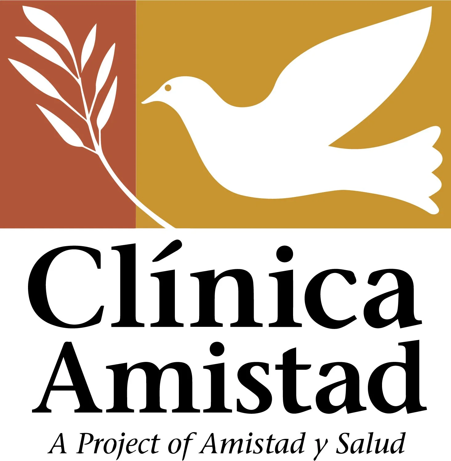 Clinica Amistad Volunteer!