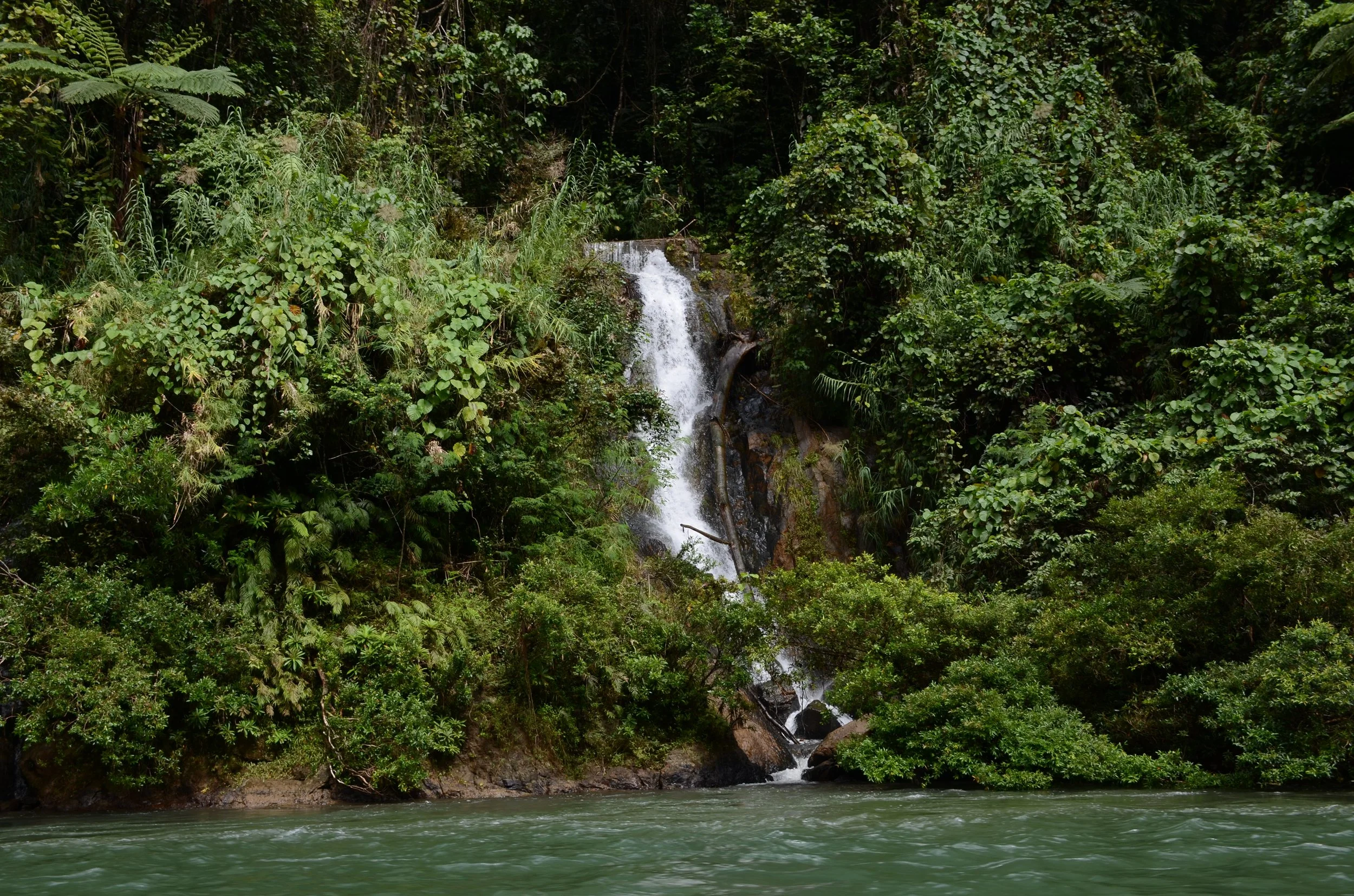 DSC_5835.JPG