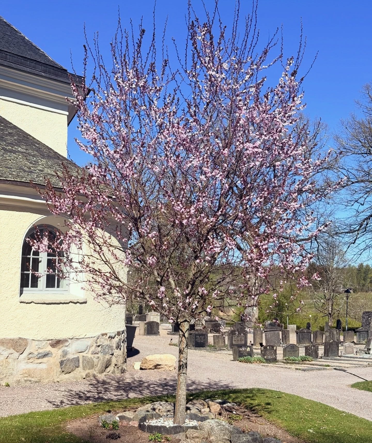 V&auml;lkommen sk&ouml;na, gr&ouml;na maj 🌸 Dagen till &auml;ra str&aring;lar solen och kyrkan &auml;r &ouml;ppen f&ouml;r dig som vill titta in! Inuti kan du bland annat besk&aring;da altartavlan fr&aring;n 1792 och brudkronan fr&aring;n 1600-talet