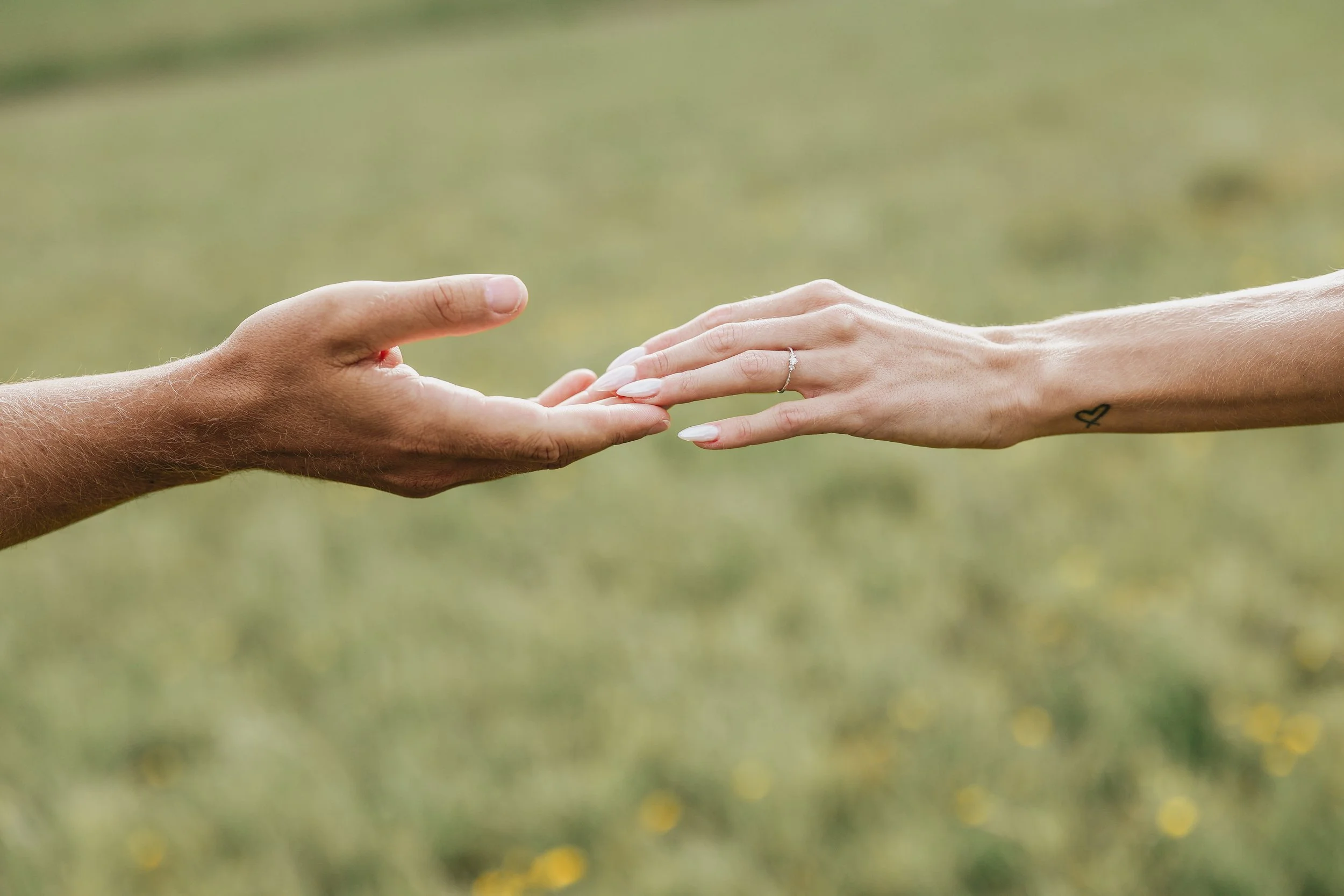 Zwei Menschen reichen sich die Hände. Im Hintergrund ein grüner, unscharfer Rasen.