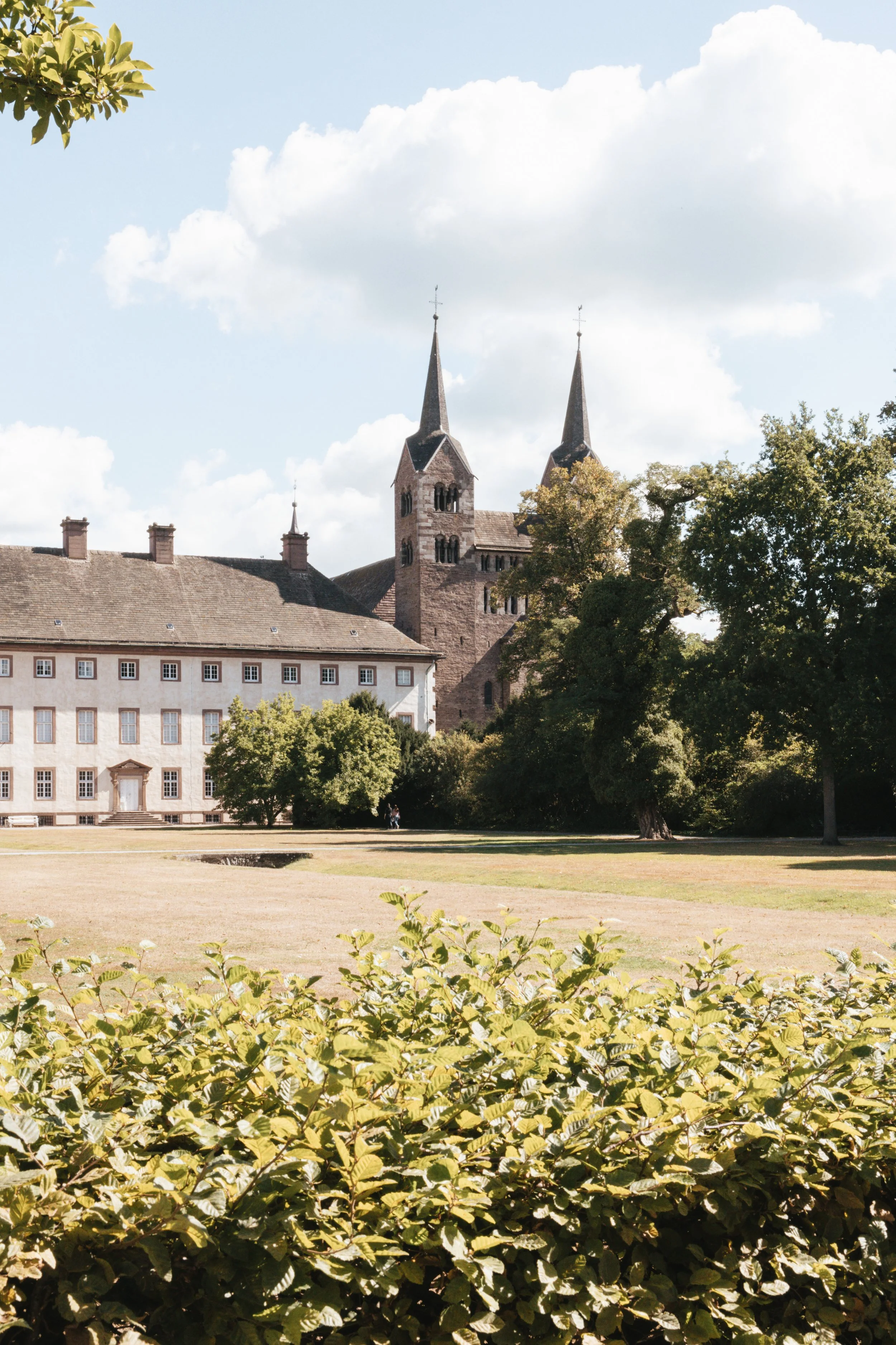 Eine Kirche mit zwei hohen Türmen, umgeben von Bäumen und einem großen, offenen Rasen vor einem blauen Himmel mit Wolken.