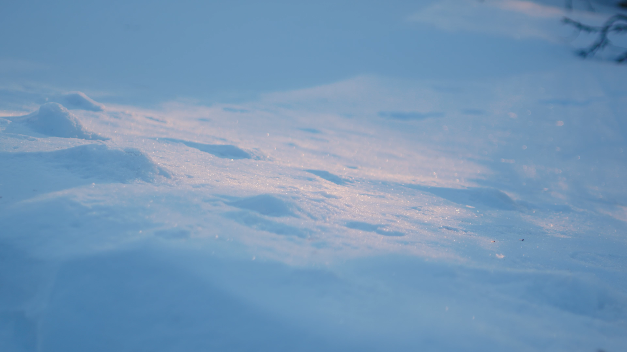 intro_.00_01_32_21.Still003.png