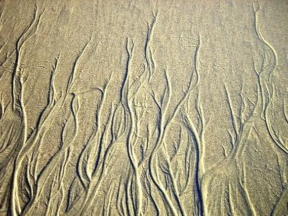 Close-up of sand with numerous small, winding ridges and channels.