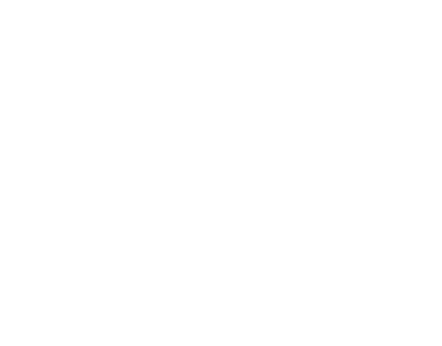Pasin tehdas