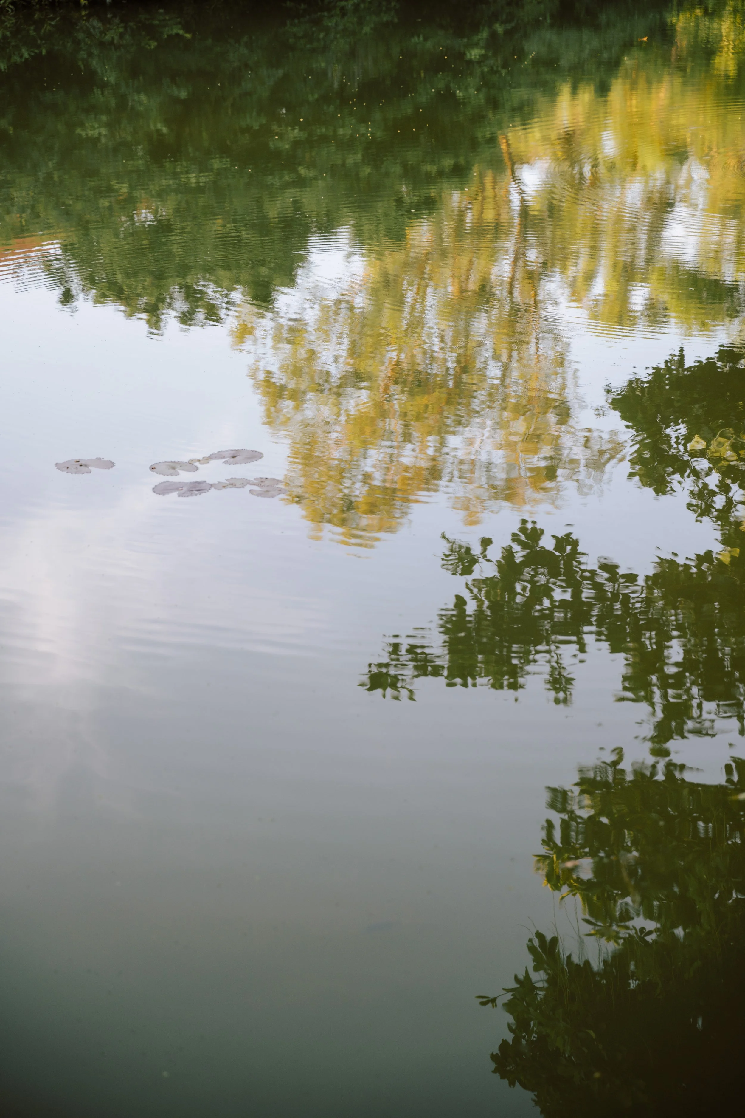 PRE VI & DANG-0012.JPG