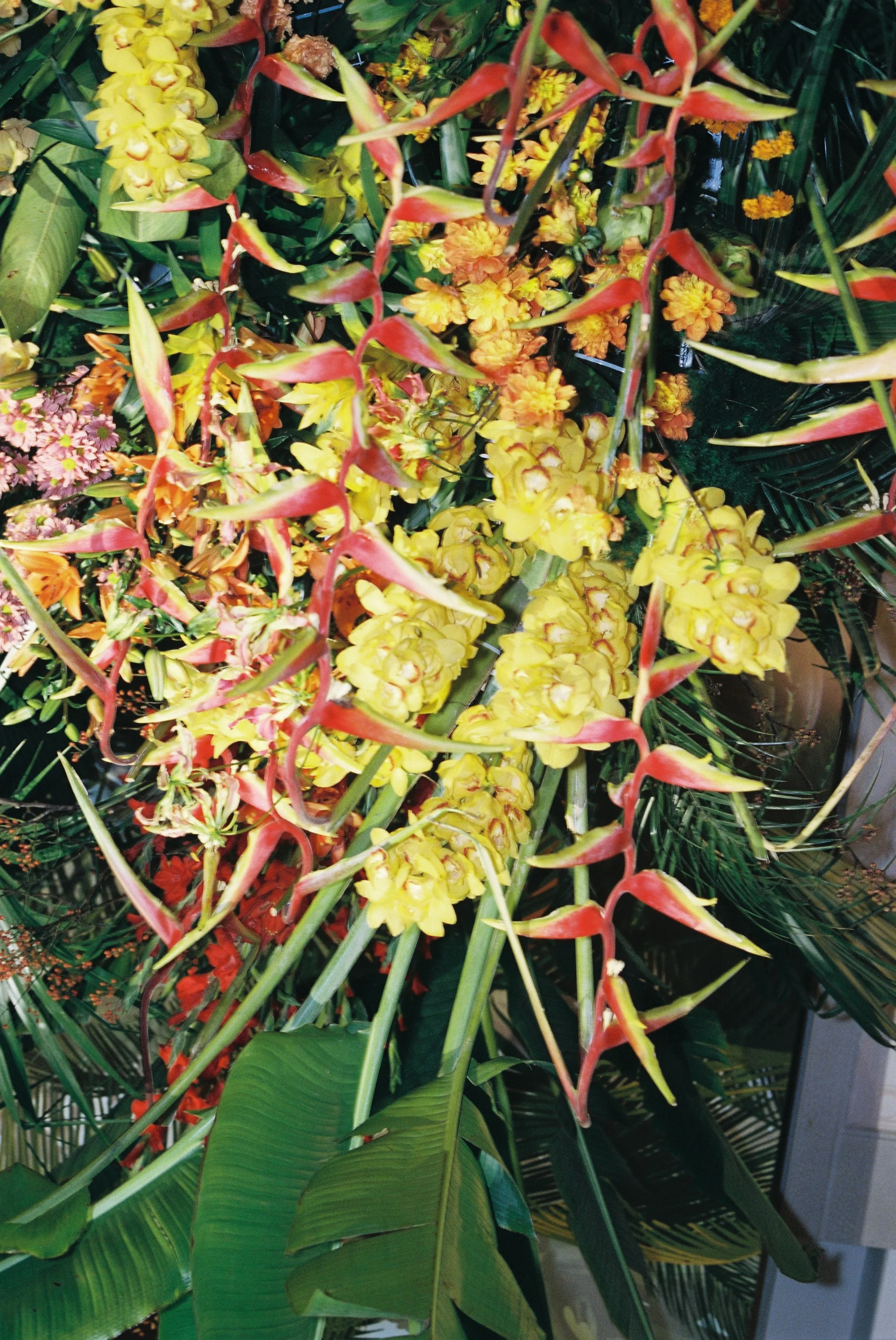 DES NICOLE & SPENCER_F094.JPG