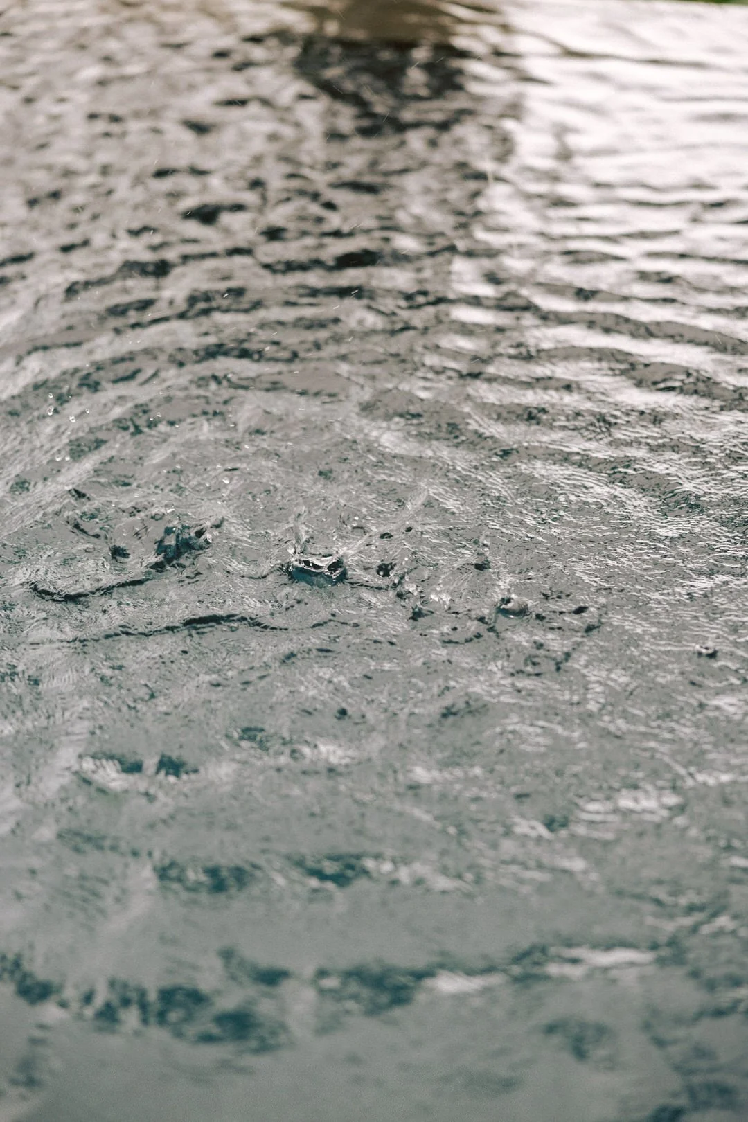 DES NICOLE & SPENCER_01383.JPG