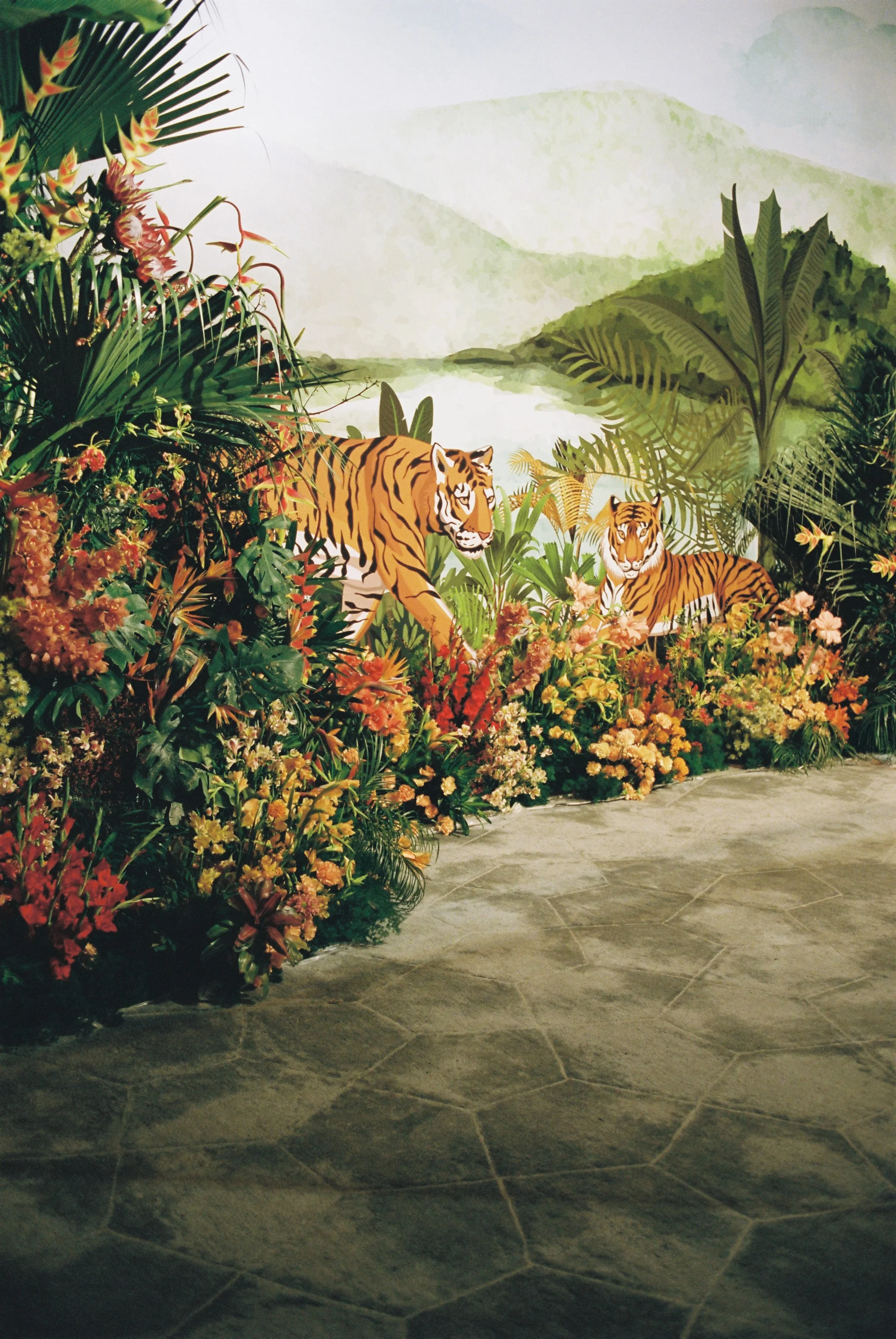 DES NICOLE & SPENCER_F119.JPG