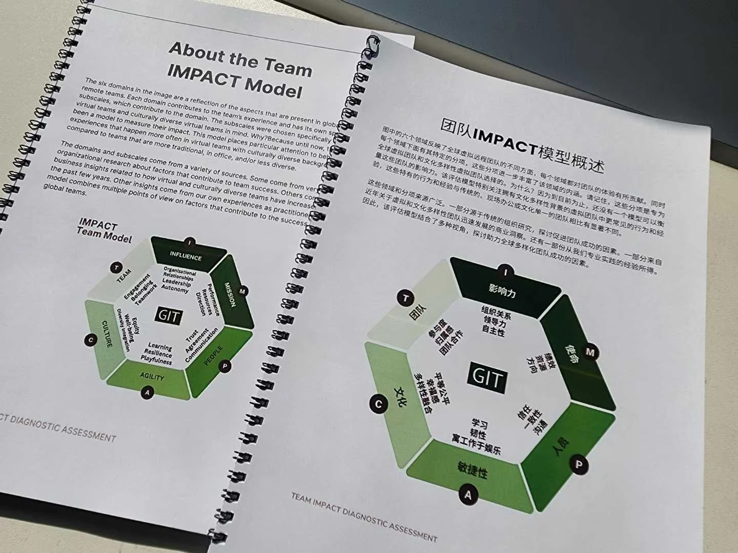 WhatsApp Image 2025-07-23 at 14.14.17_8f022e61.jpg