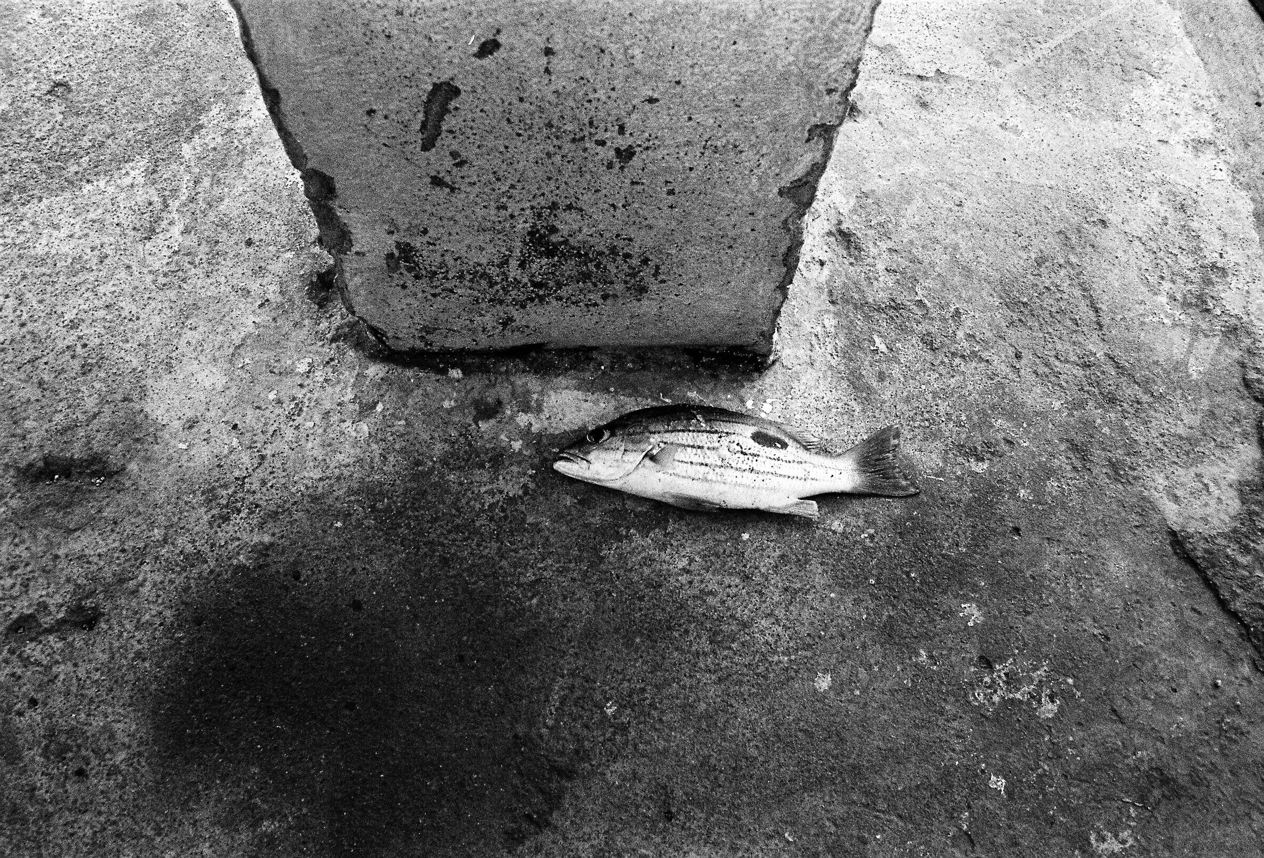 Places Unknown