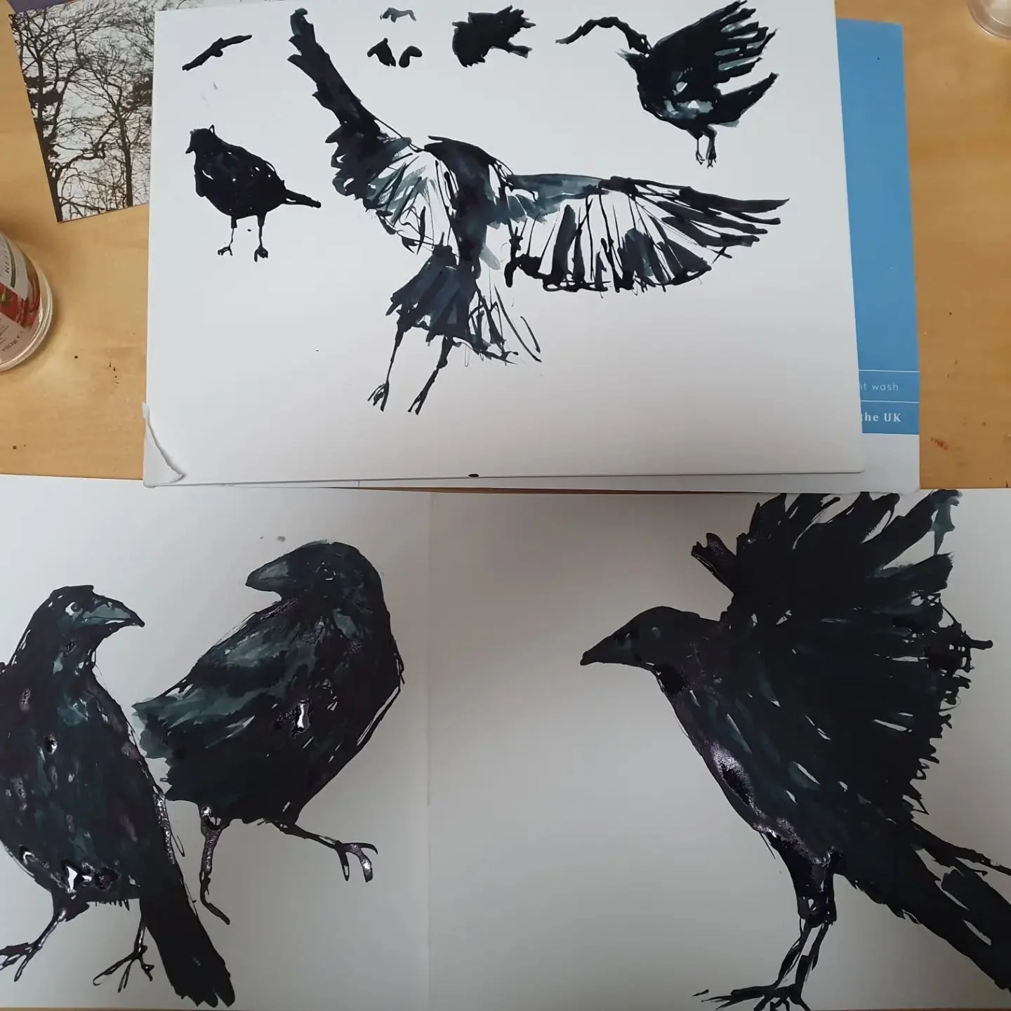 I'm writing a story with a girl in it who reminds me of a crow...I'm a bit stuck, so I drew some pictures of crows to help me think about her as a character. 

Paynes grey acrylic ink &amp; drawn with the dropper and a brush
.
.
.
#dalerrowneyinks #c