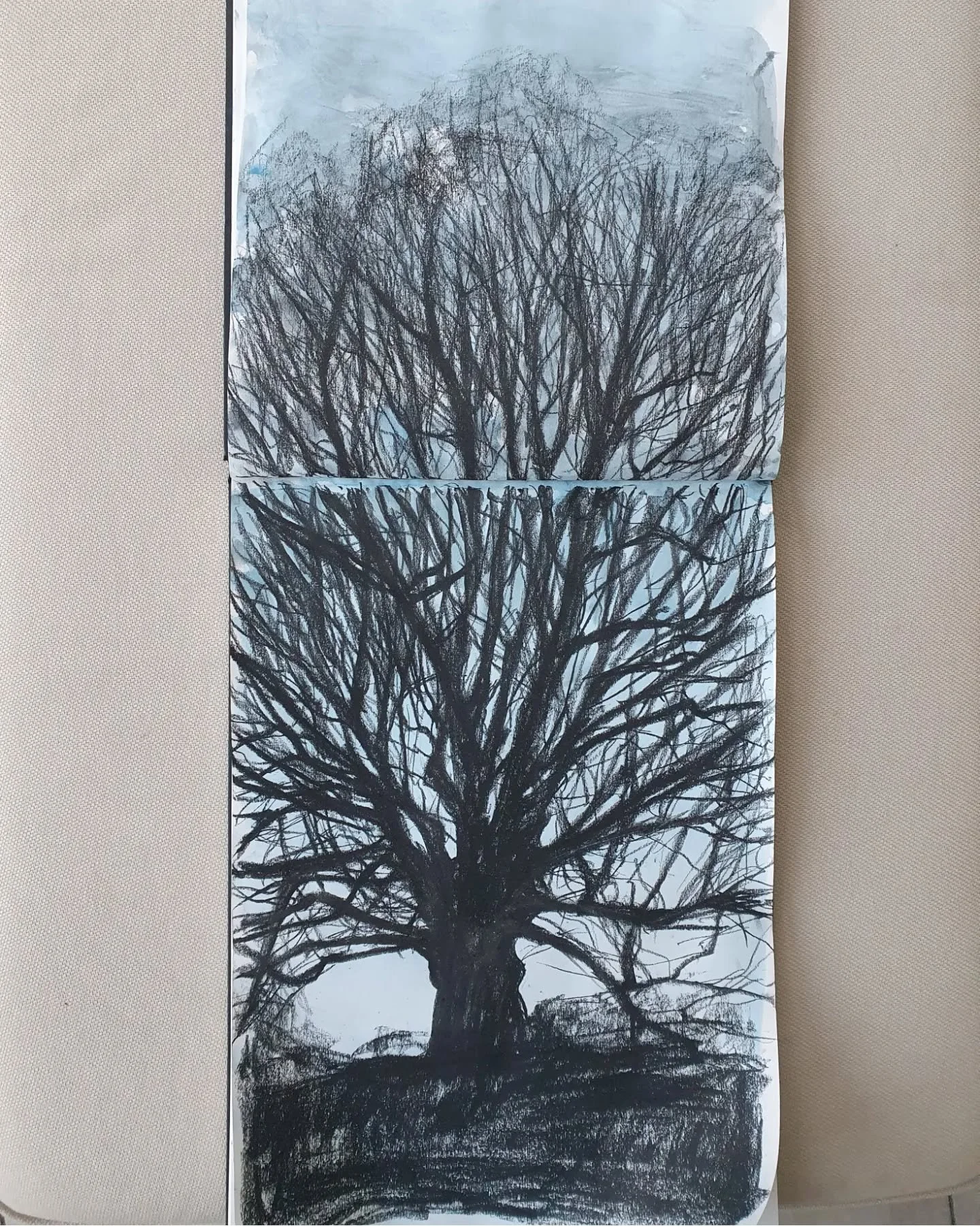 We are away for the weekend and this magnificent tree spreads its branches just beyond the garden.  The view is beautifully framed by the large windows at the back if the holiday home. I started this at dusk and finished it in the dark, but it only t