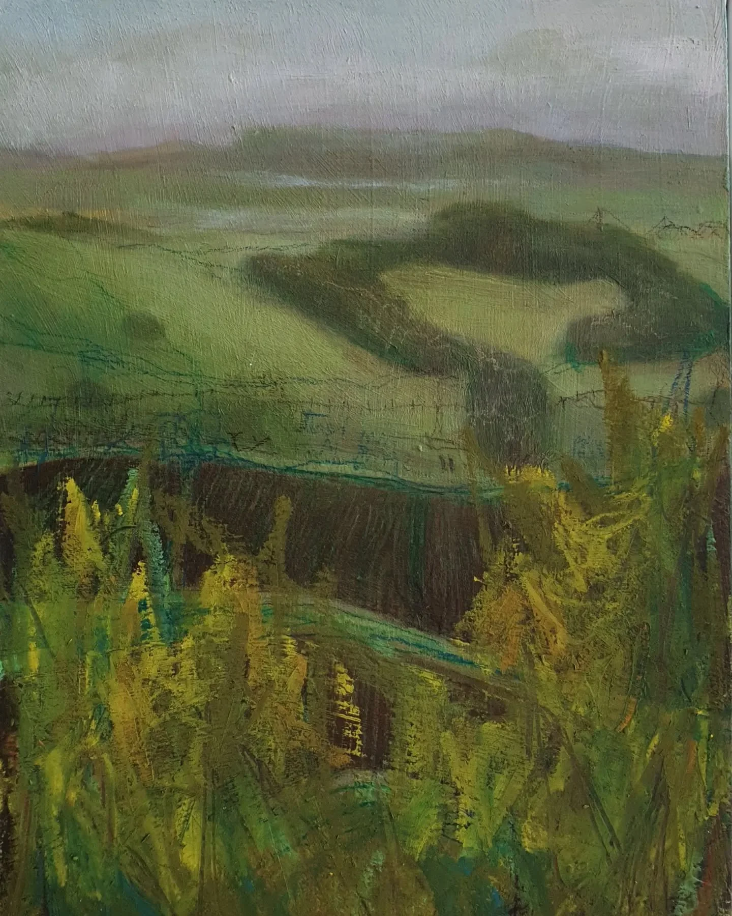 Newly Ploughed Fields. Oil, oil pastel and graphite.  I had liked the curved shape of the trees.  It was a hazy day so the greens are quite muted against the dark brown of the freshly turned earth.  Currently available at the Line Gallery. 
.
.
.
#th
