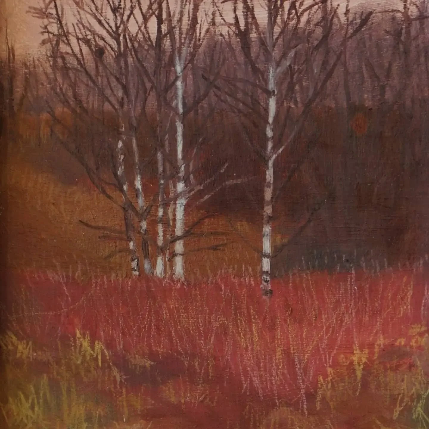 Birches near the Lagoon. Oil &amp; oil based pencil on board.

This painting is from an area in Linlithgow known locally as the Lagoon.  It used to be part of a quarry that was then left to be returned to nature.  Its beautiful down there and teeming