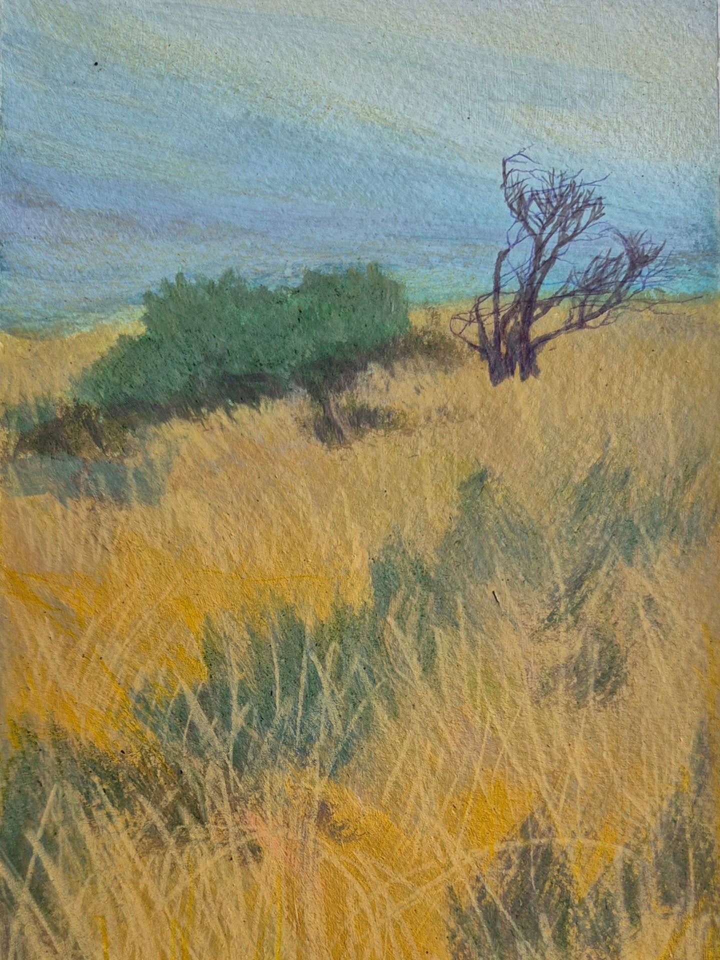 Gorse &amp; Buckthorn. Acrylic &amp; Oil-based pencil.

This is one of my 10 contributions to the Postcards exhibition at the Line Gallery. @thelinegallery_official
It is on until the 23rd November - over 350 works with prices up to &pound;100. All 5