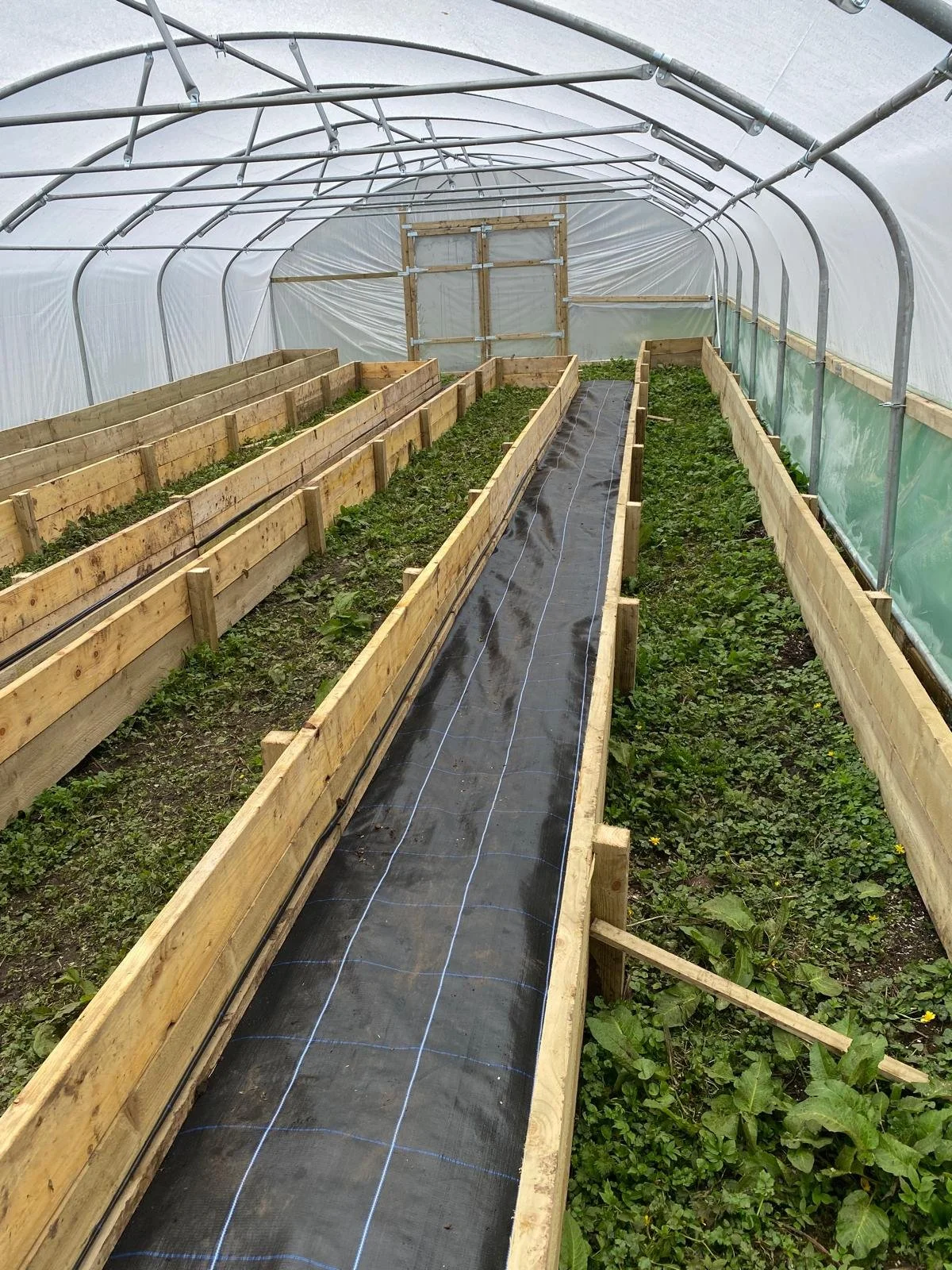 Ulva Walled Garden - Project Update