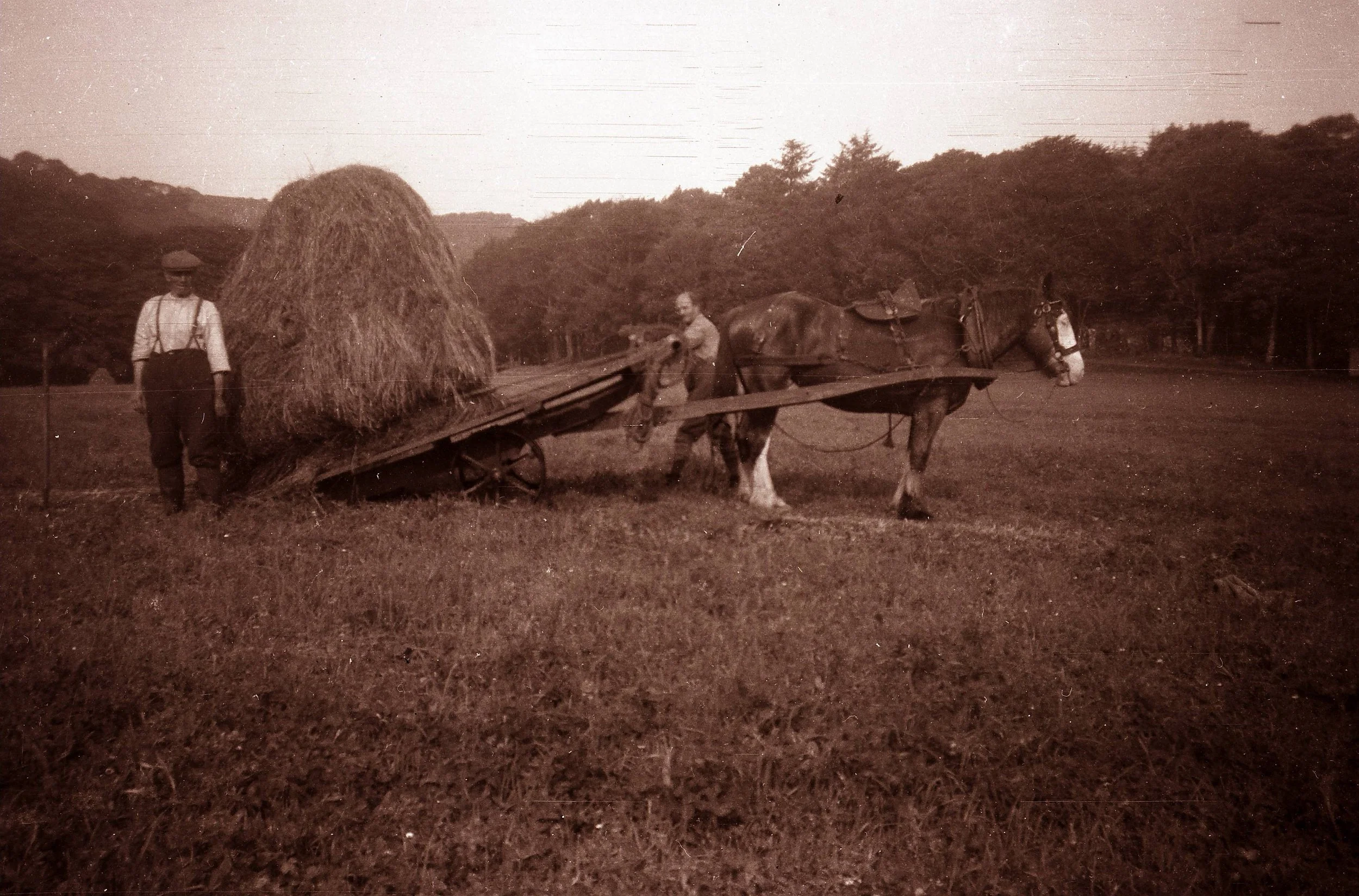 Black and white historical photo of two men with a horse-drawn cart carrying a large haystack in a field, with trees in the background.